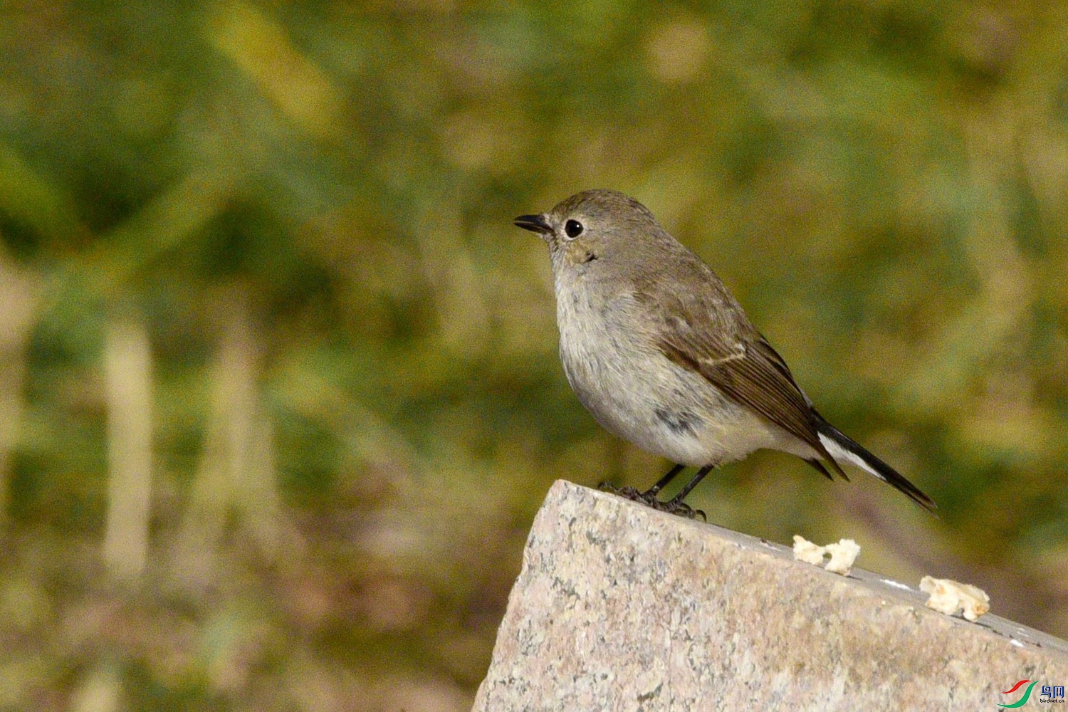 DSC_1755.JPG