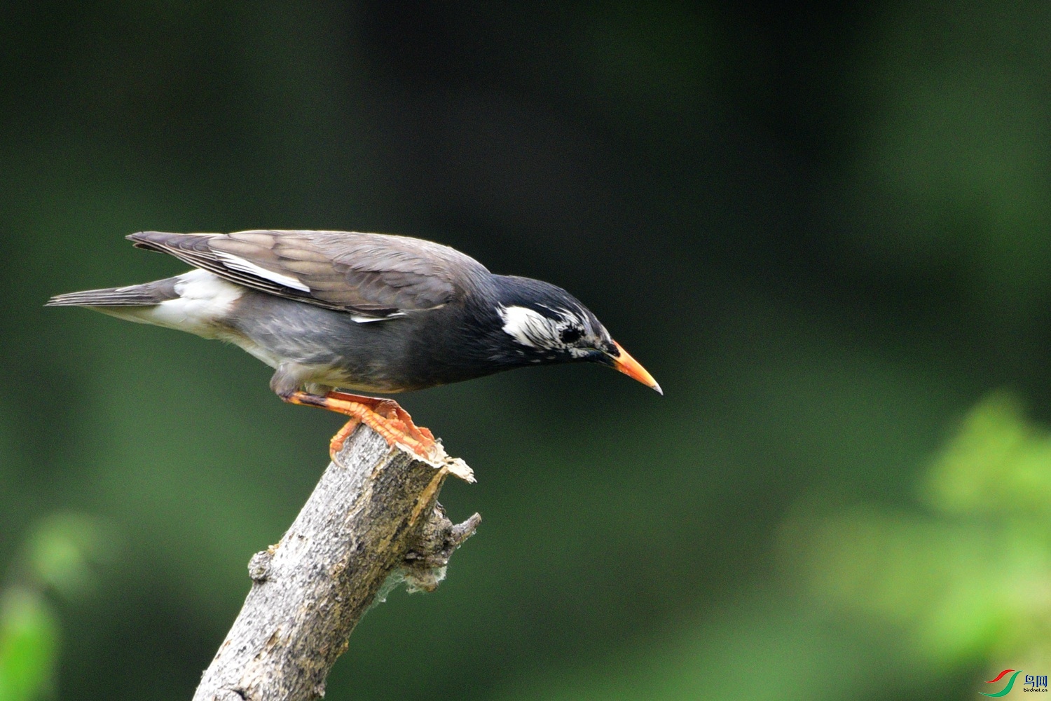 DSC_1072.JPG
