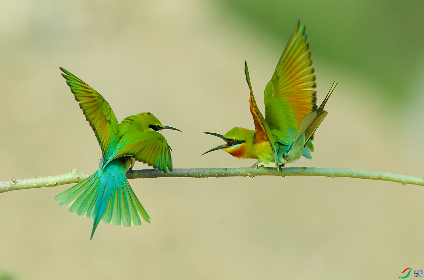 _U4I0904ŭ1 ���� 3.jpg