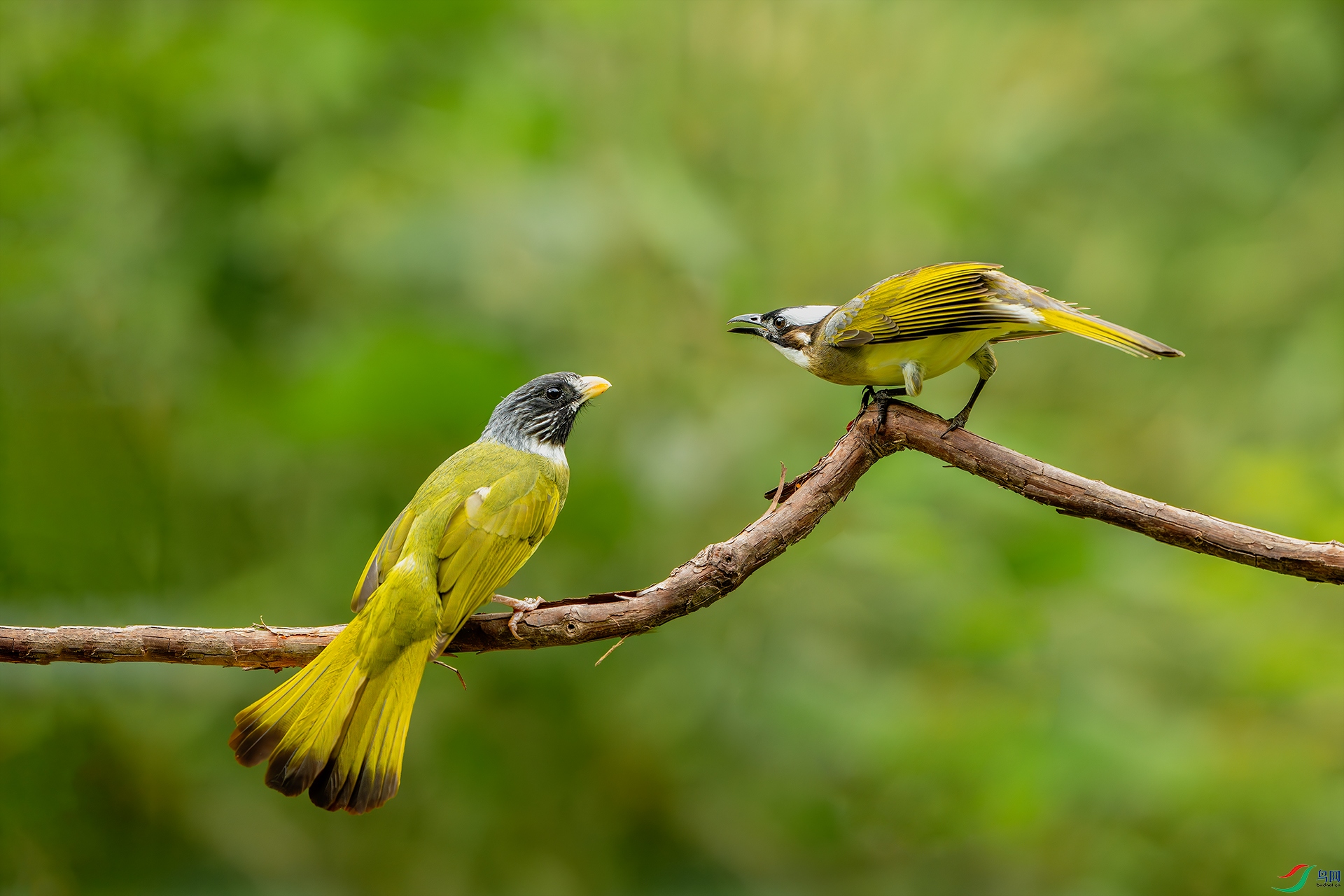 _DSC9311-����ǿ-NR ����С.jpg