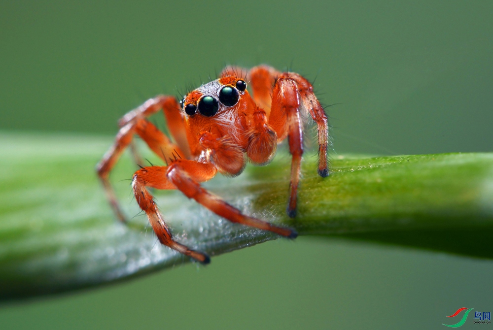 DSC_6893 ����..JPG