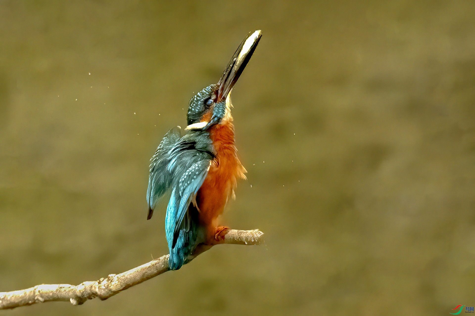 DSC_0023-.jpg