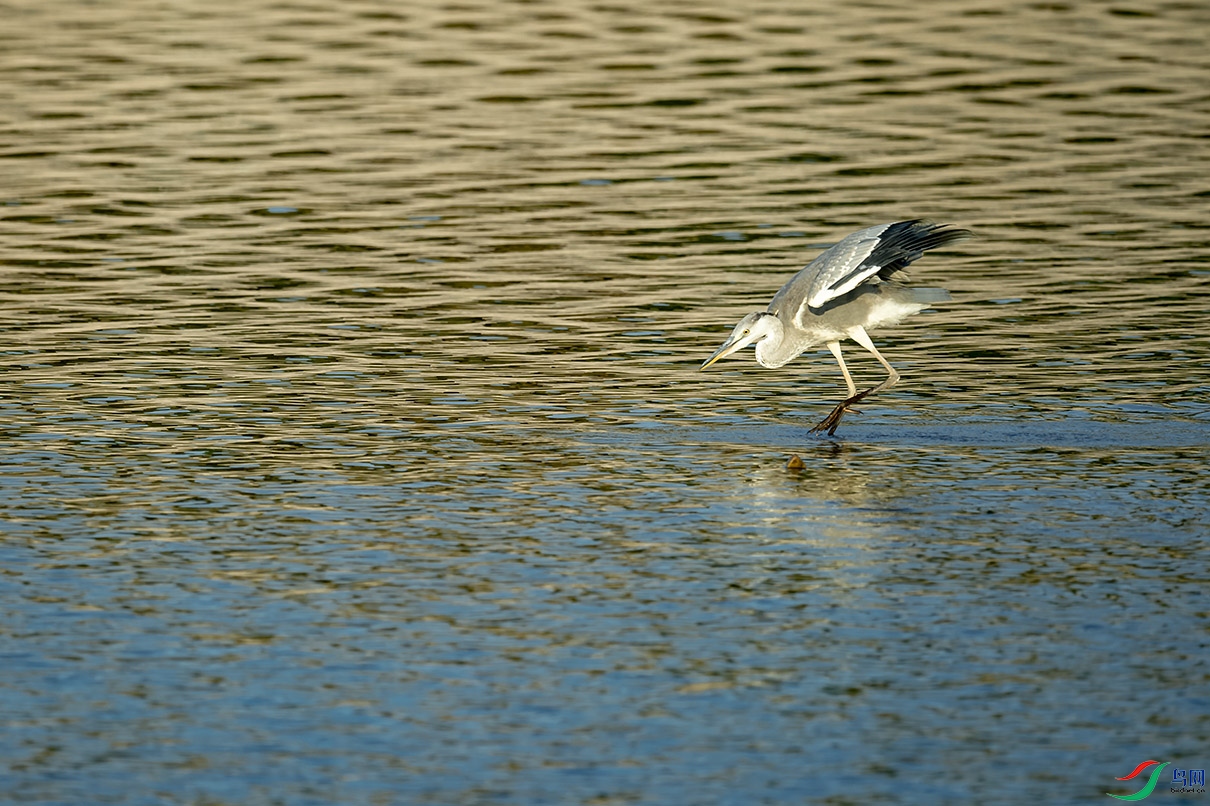 _DSC7835.jpg