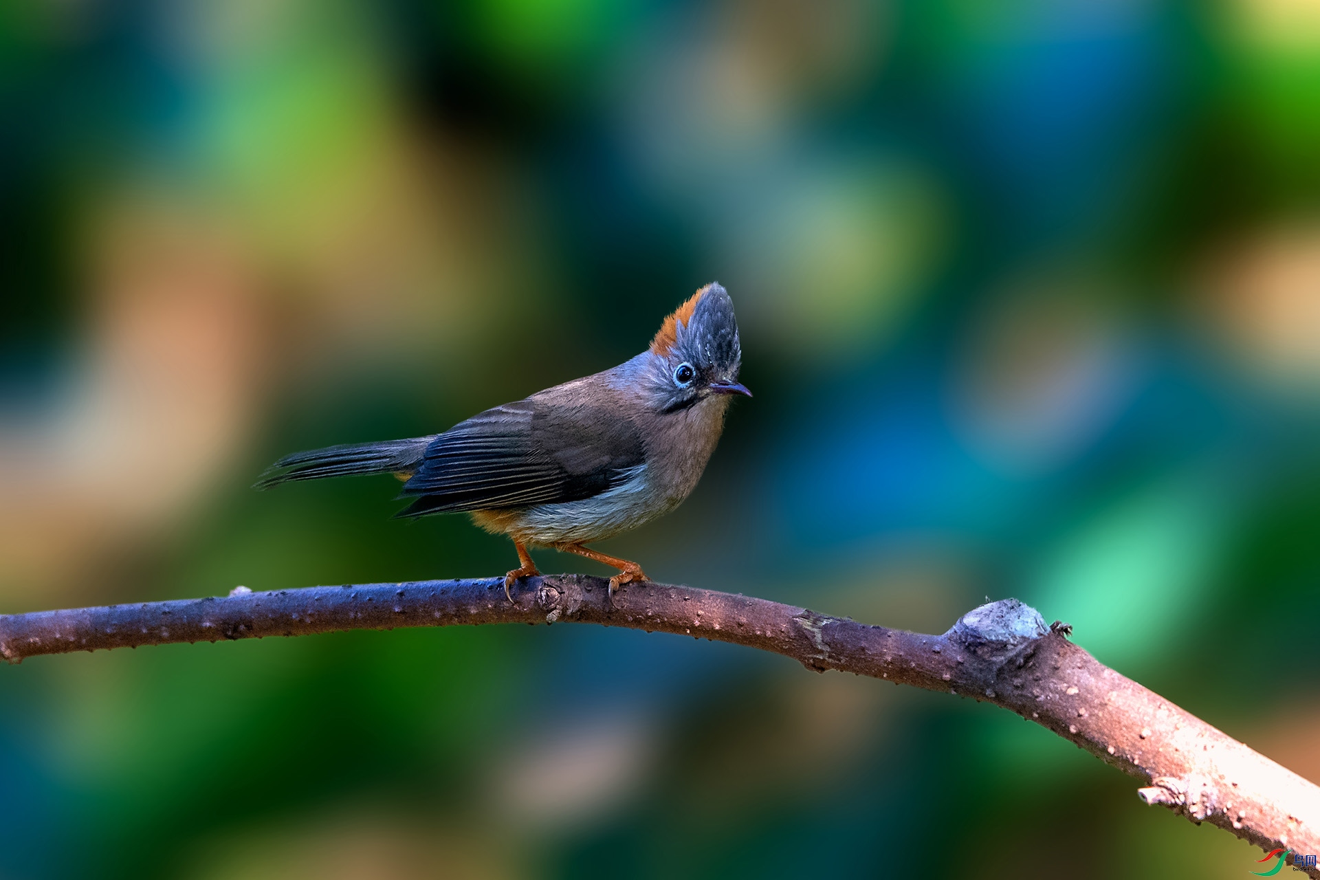 _AUU4116���η���(24.2.17).jpg