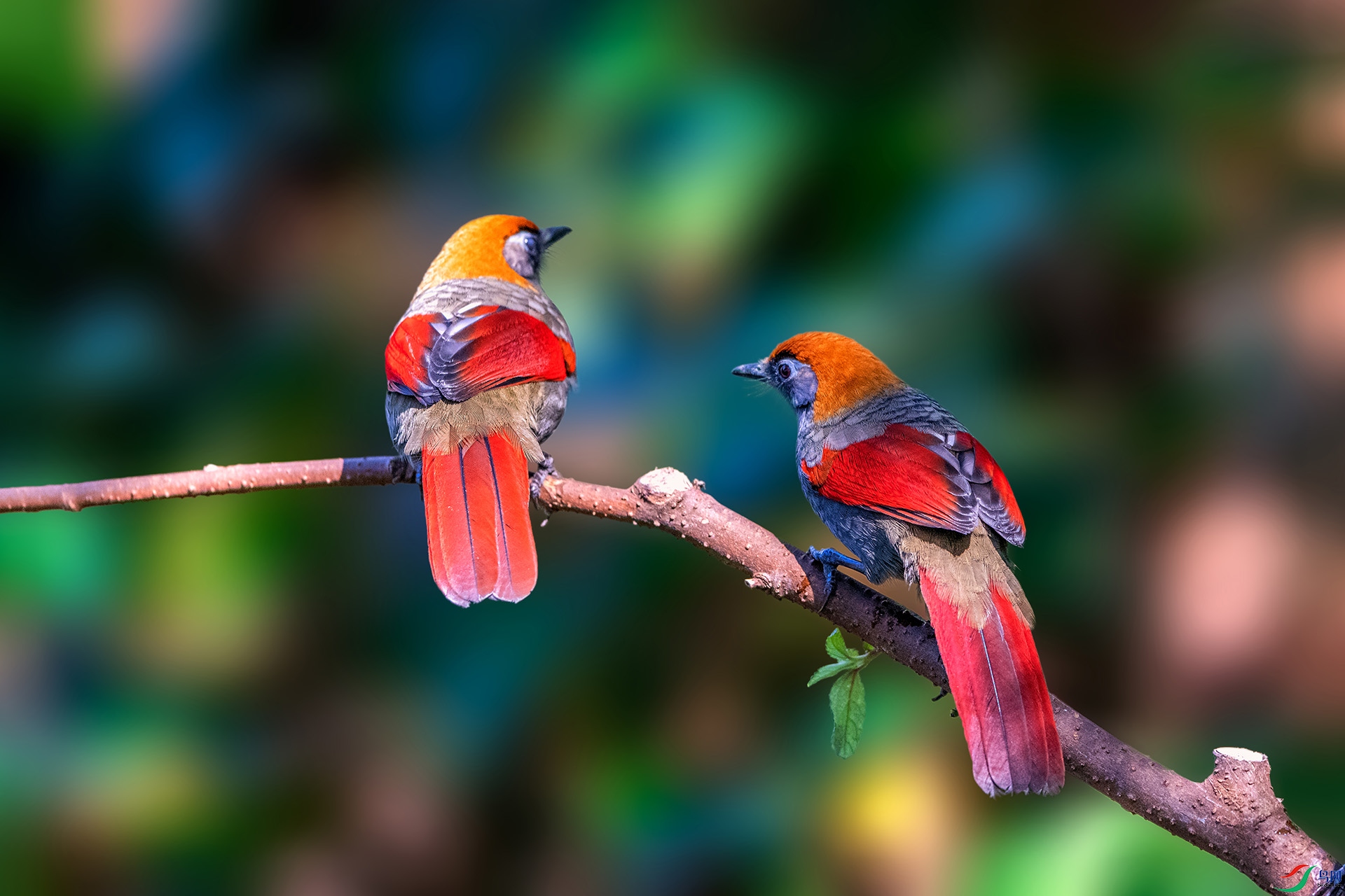_AUU4434��β����(24.2.17).jpg