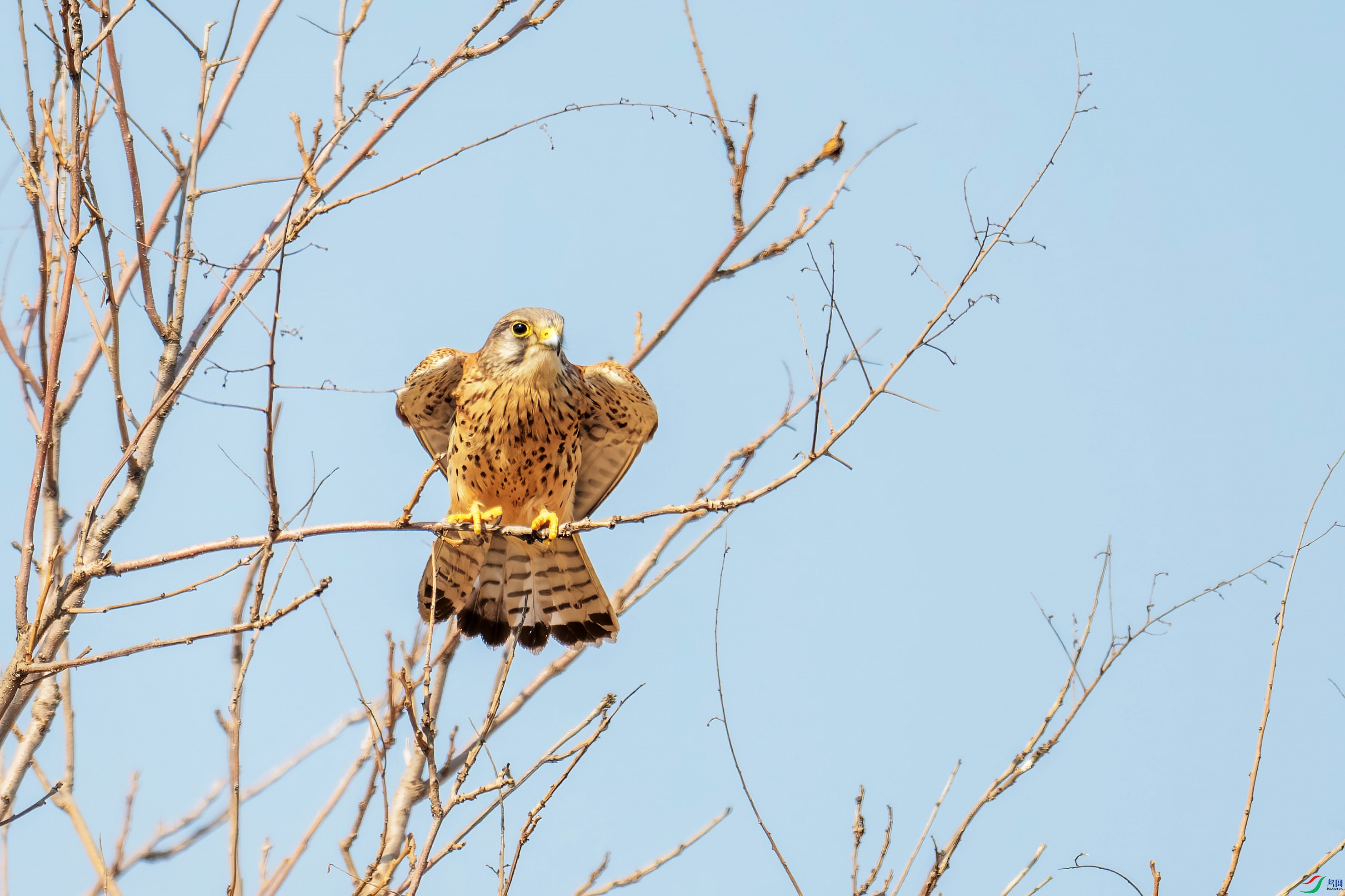 DSC_6057.jpg