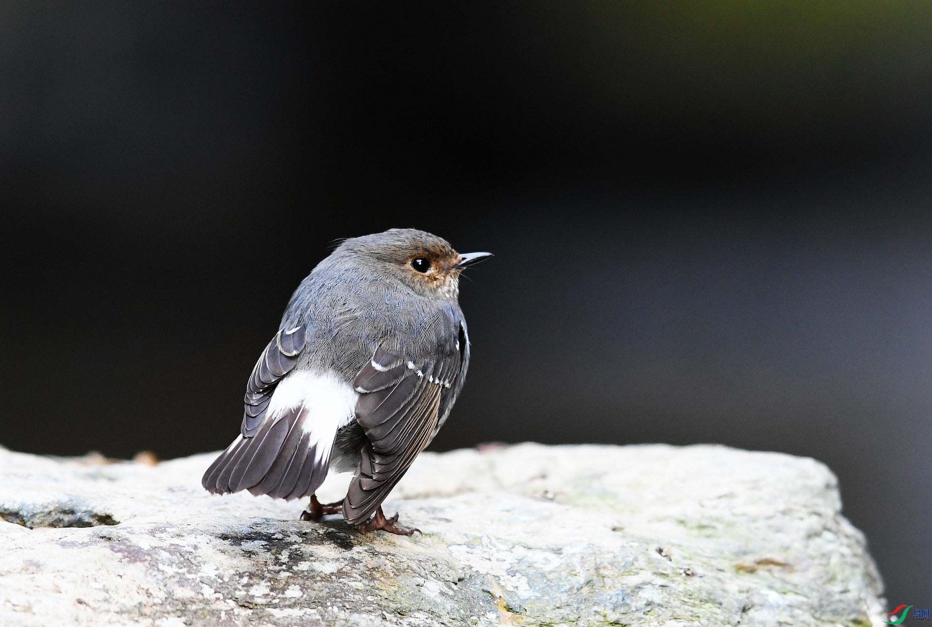 DSC_2946.jpg