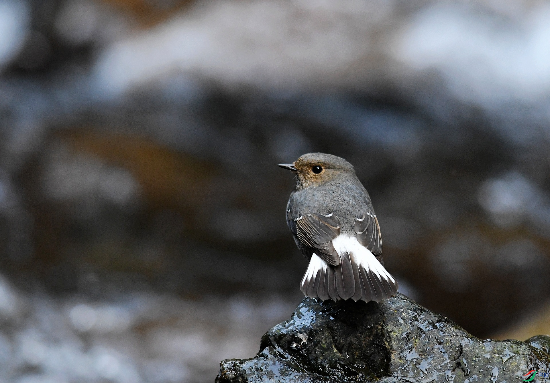 DSC_2978.jpg