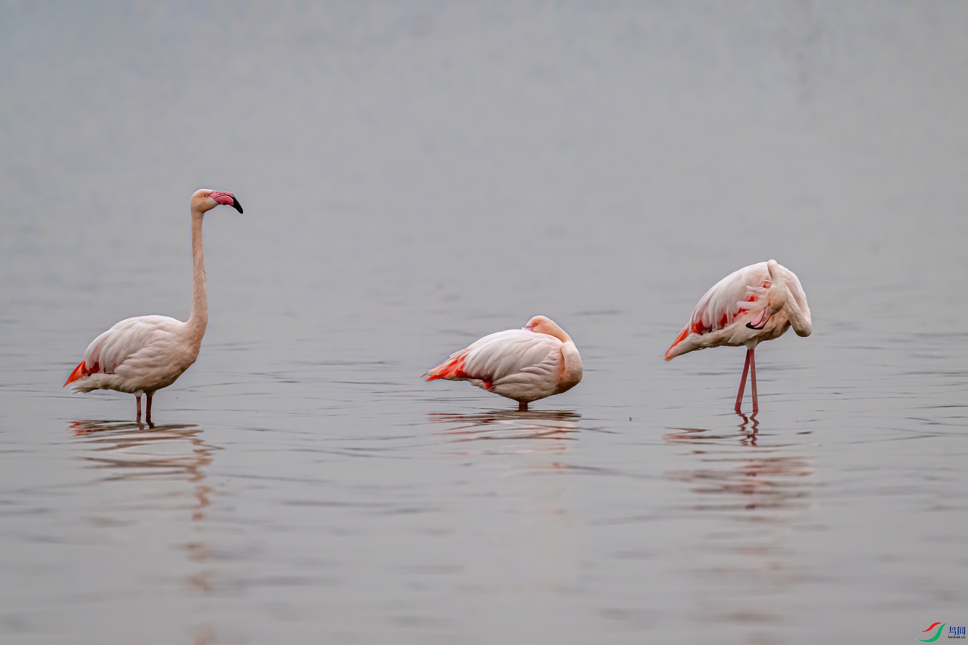 DSC_0100-11.jpg