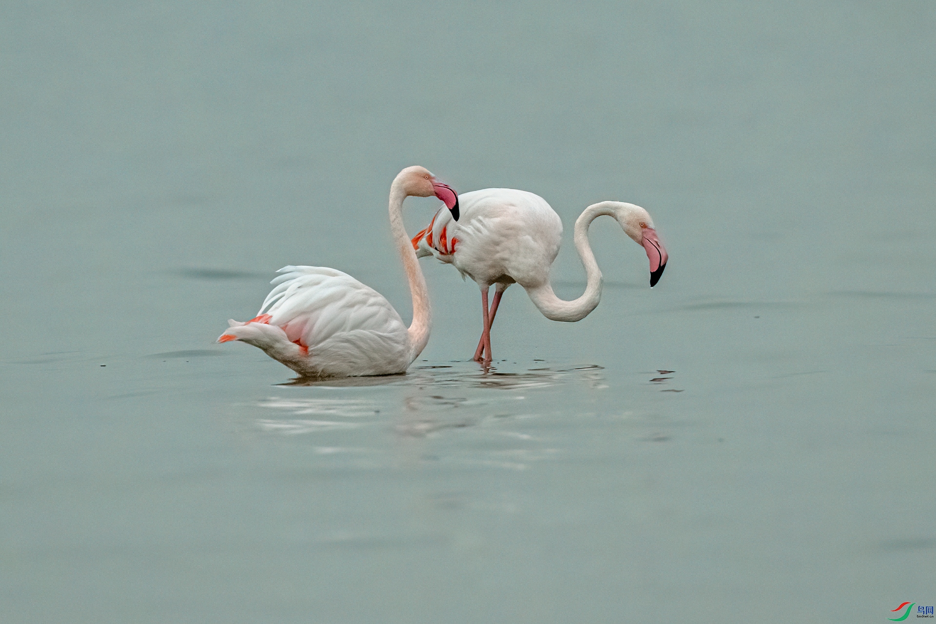 DSC_1178-11.jpg
