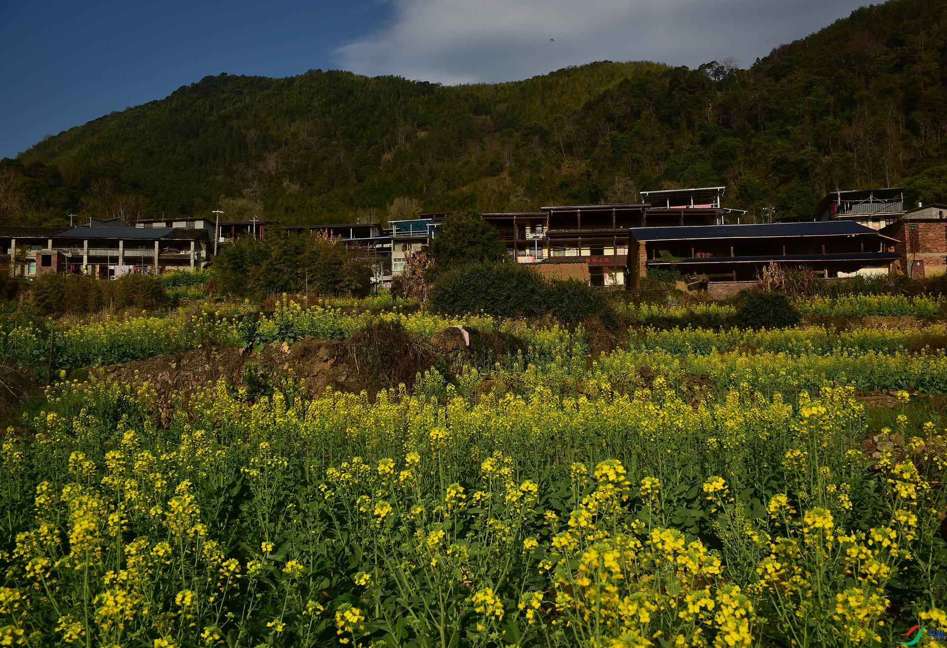 D8I_0143.jpg