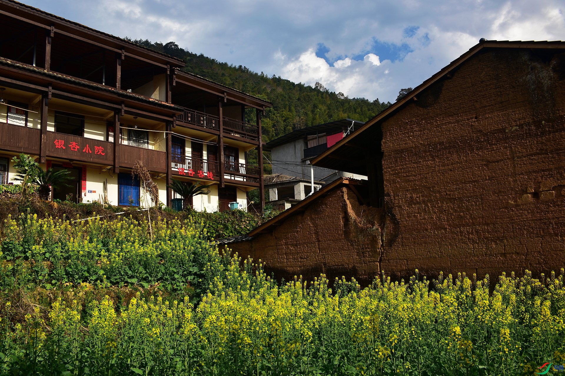 D8I_0203.jpg
