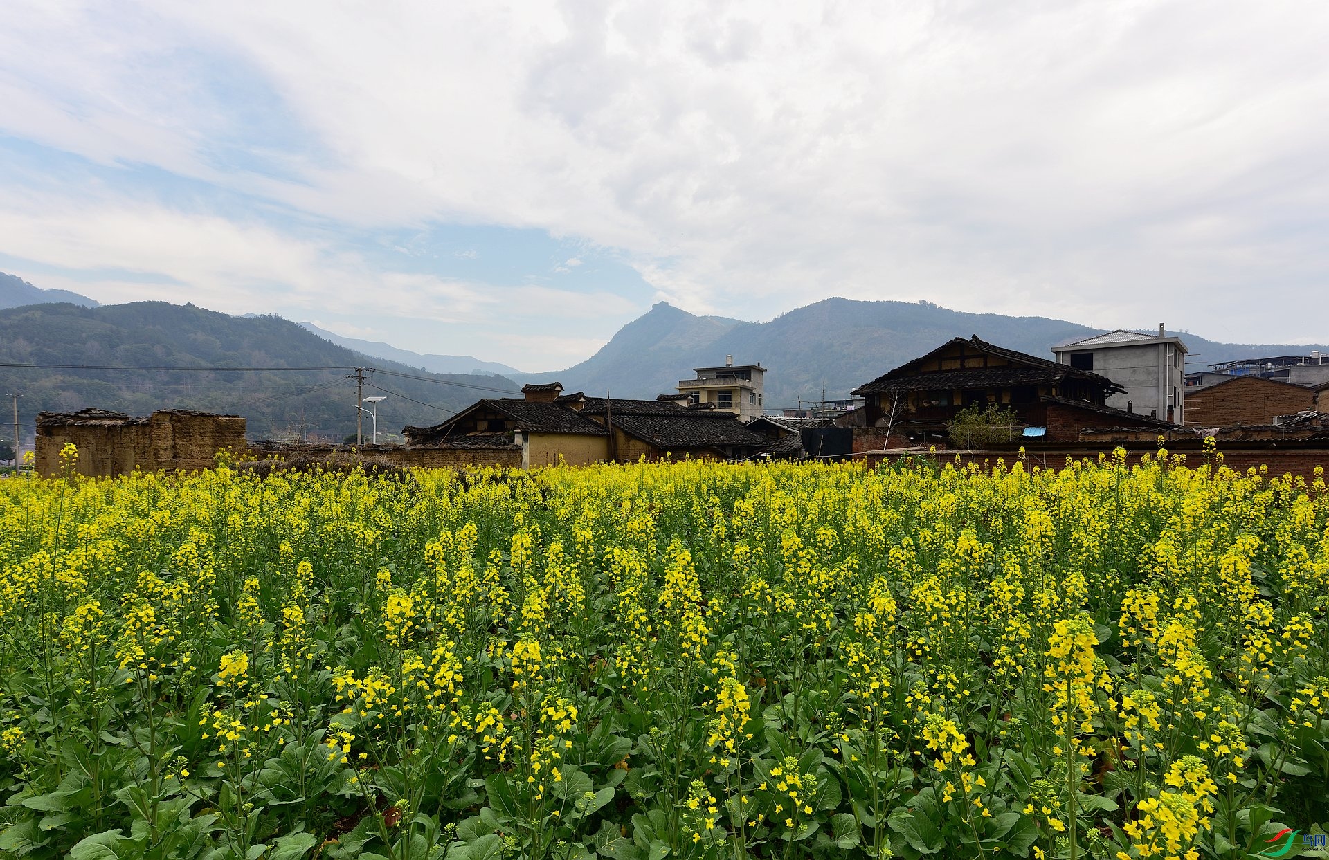D8I_0360.jpg