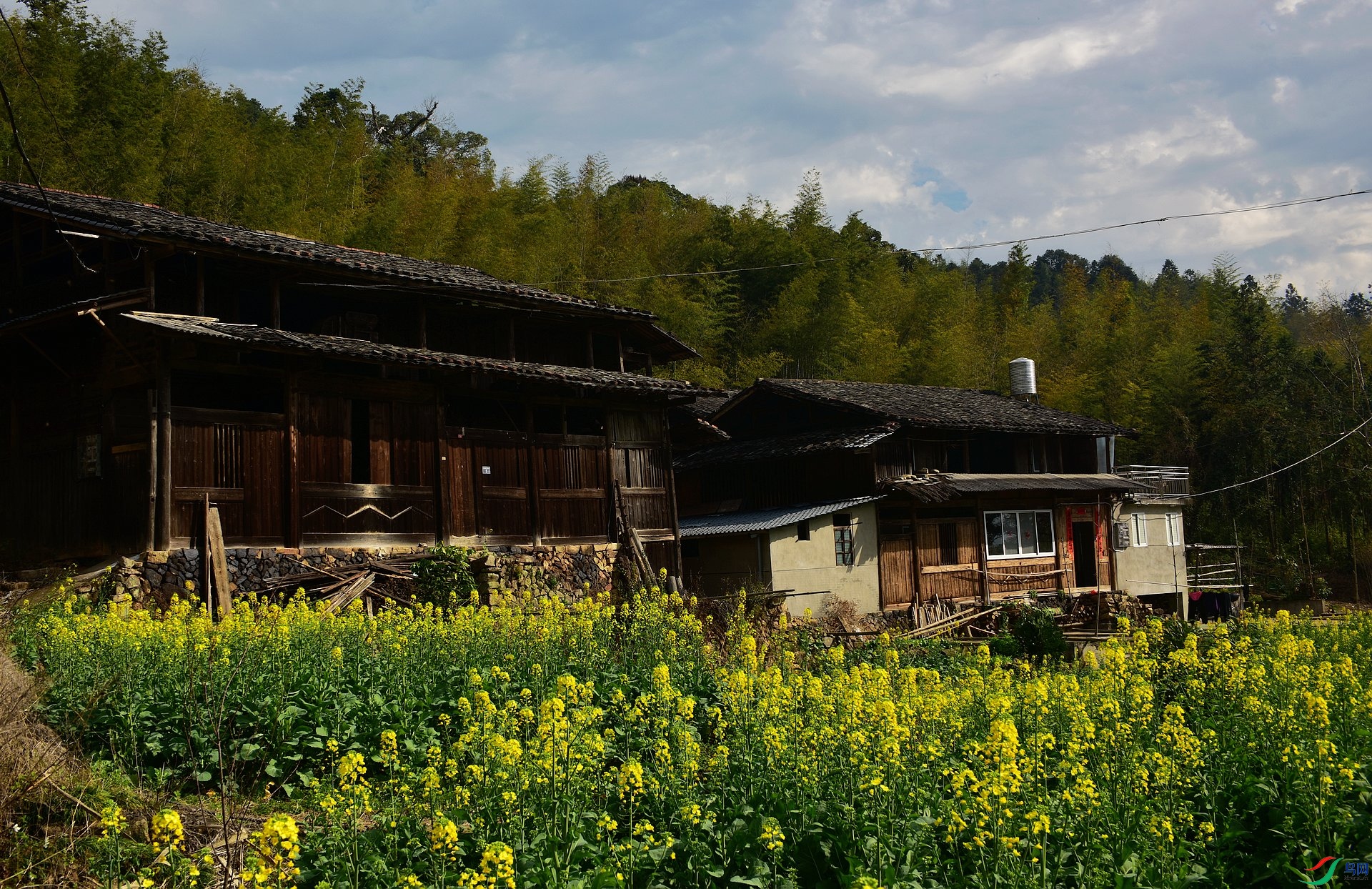 D8I_0218.jpg