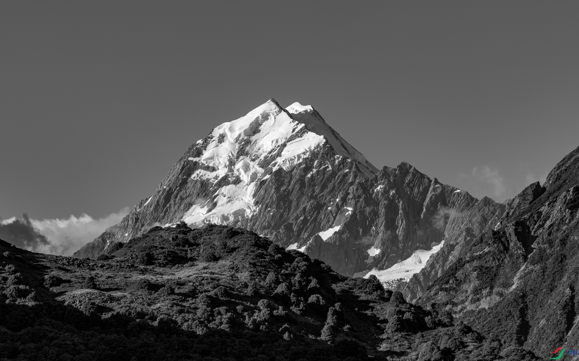 498A4272_1.jpg