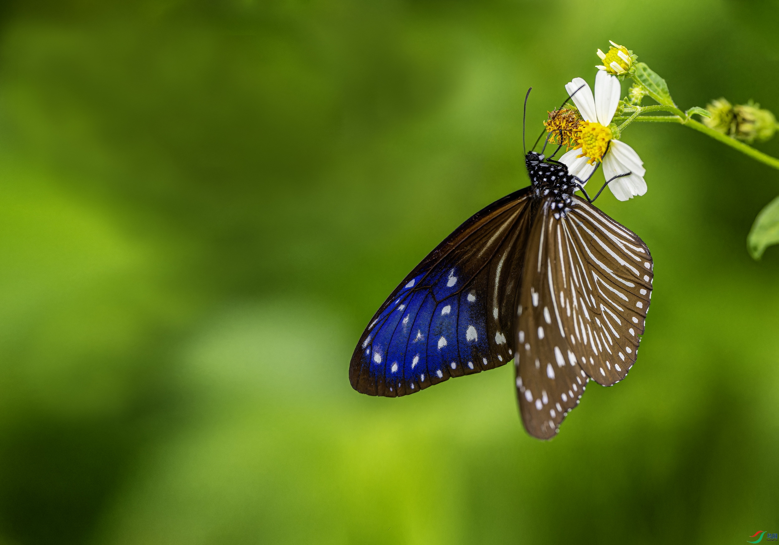 �����ϰߵ� (4)-1.jpg