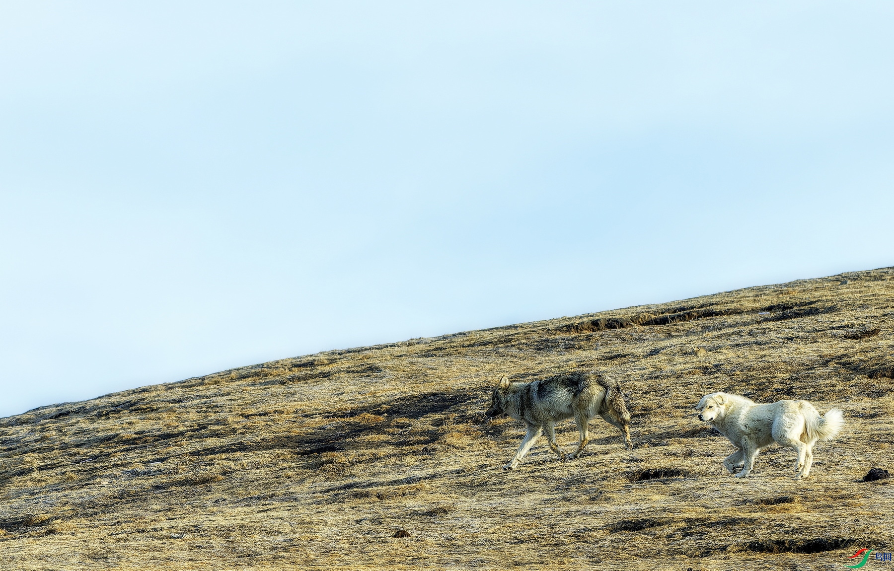 ���� -1-1.jpg