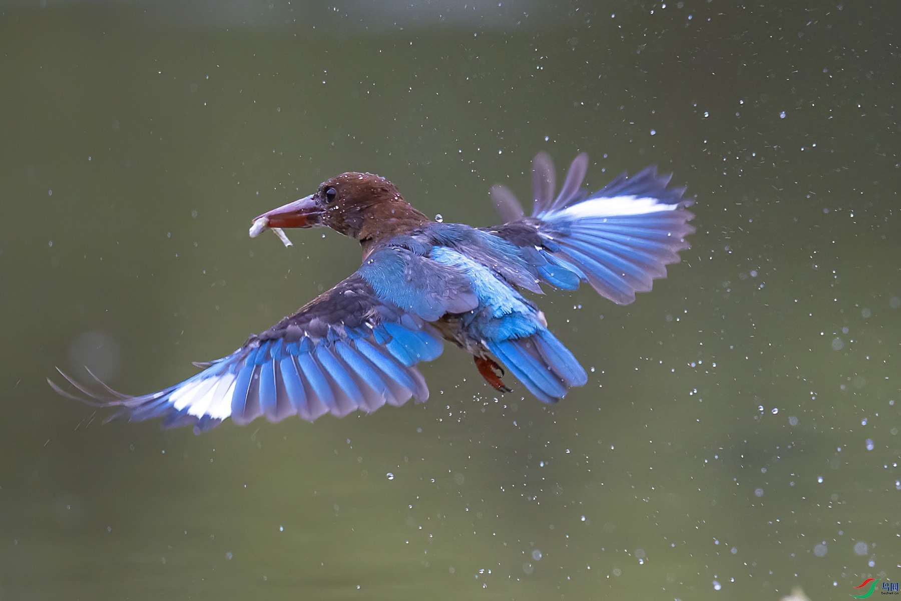 �������