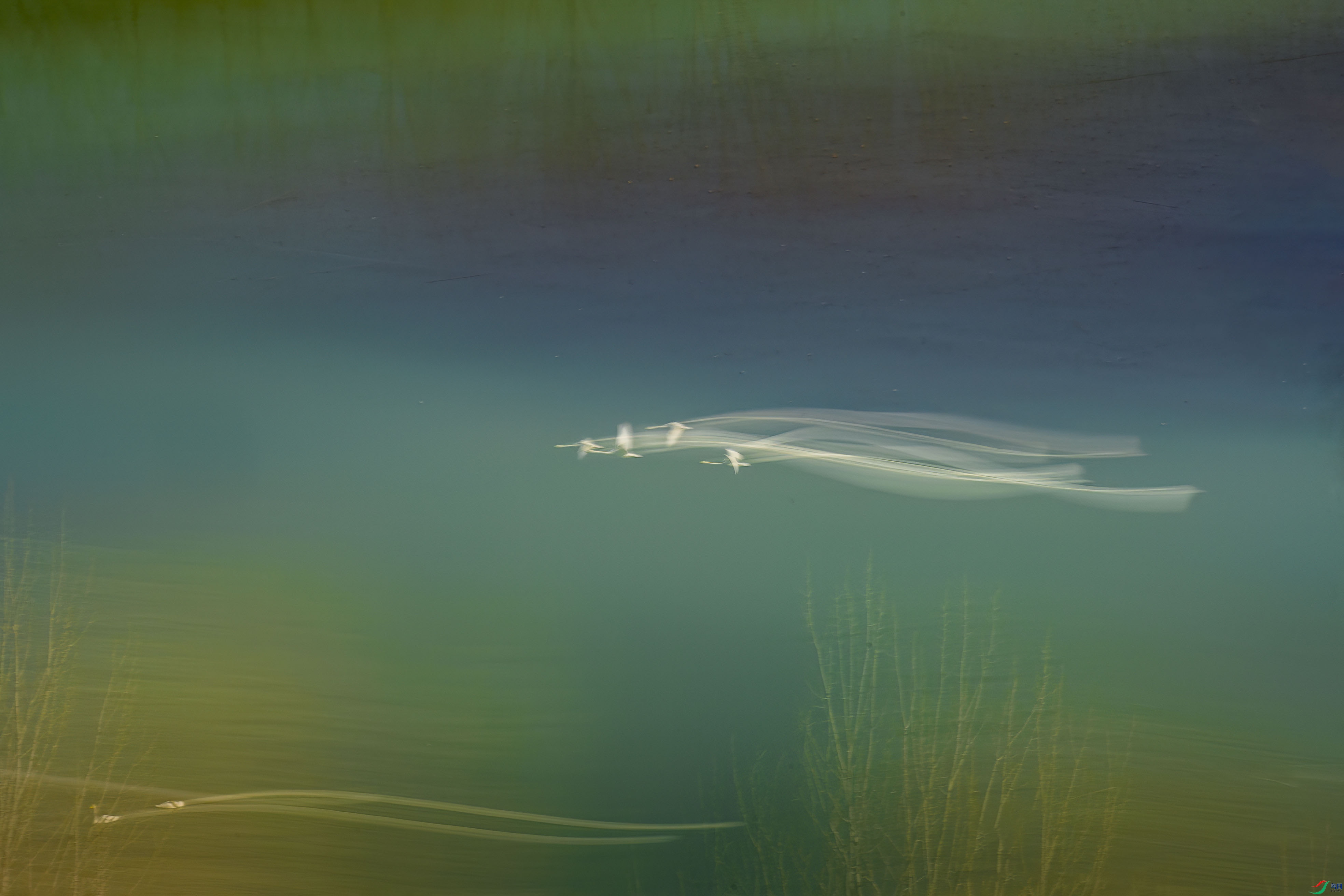 _DSC4666 ���� 2F01.jpg