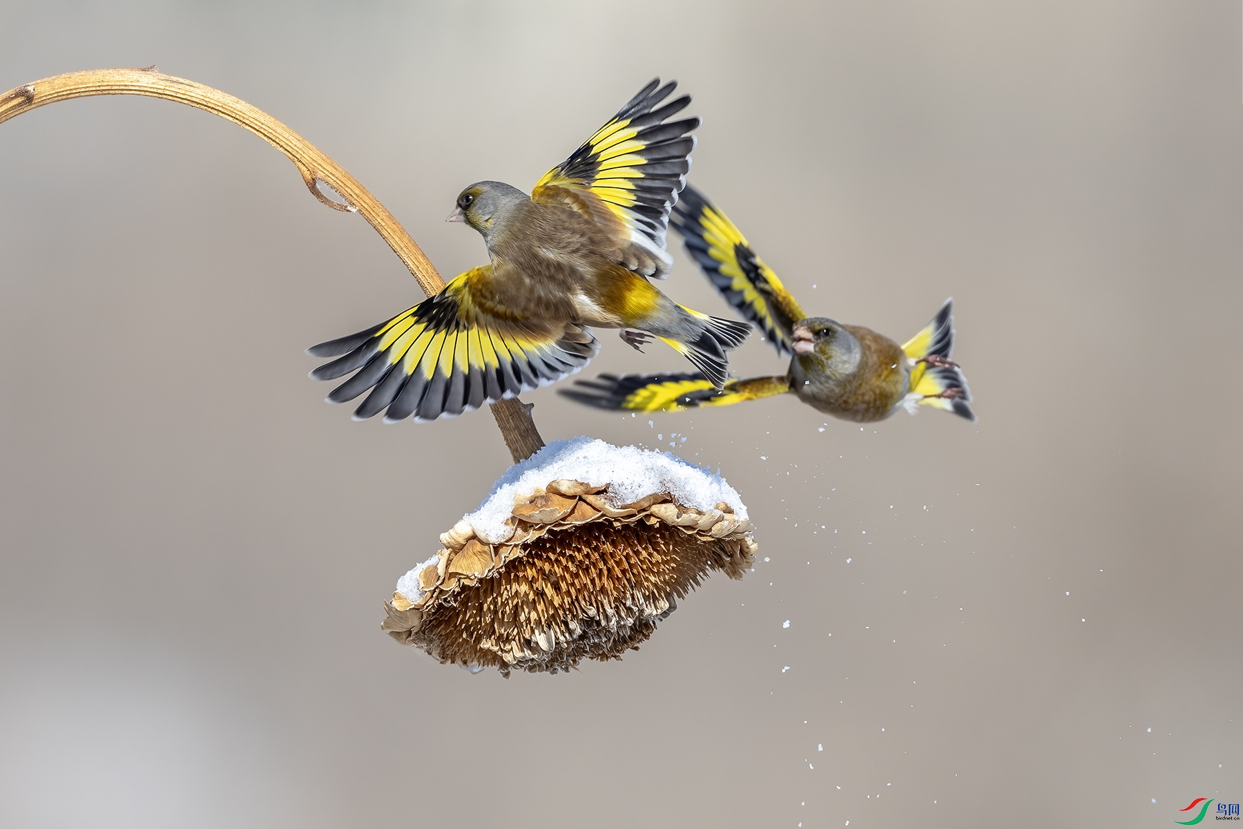 488A7816 ����.jpg