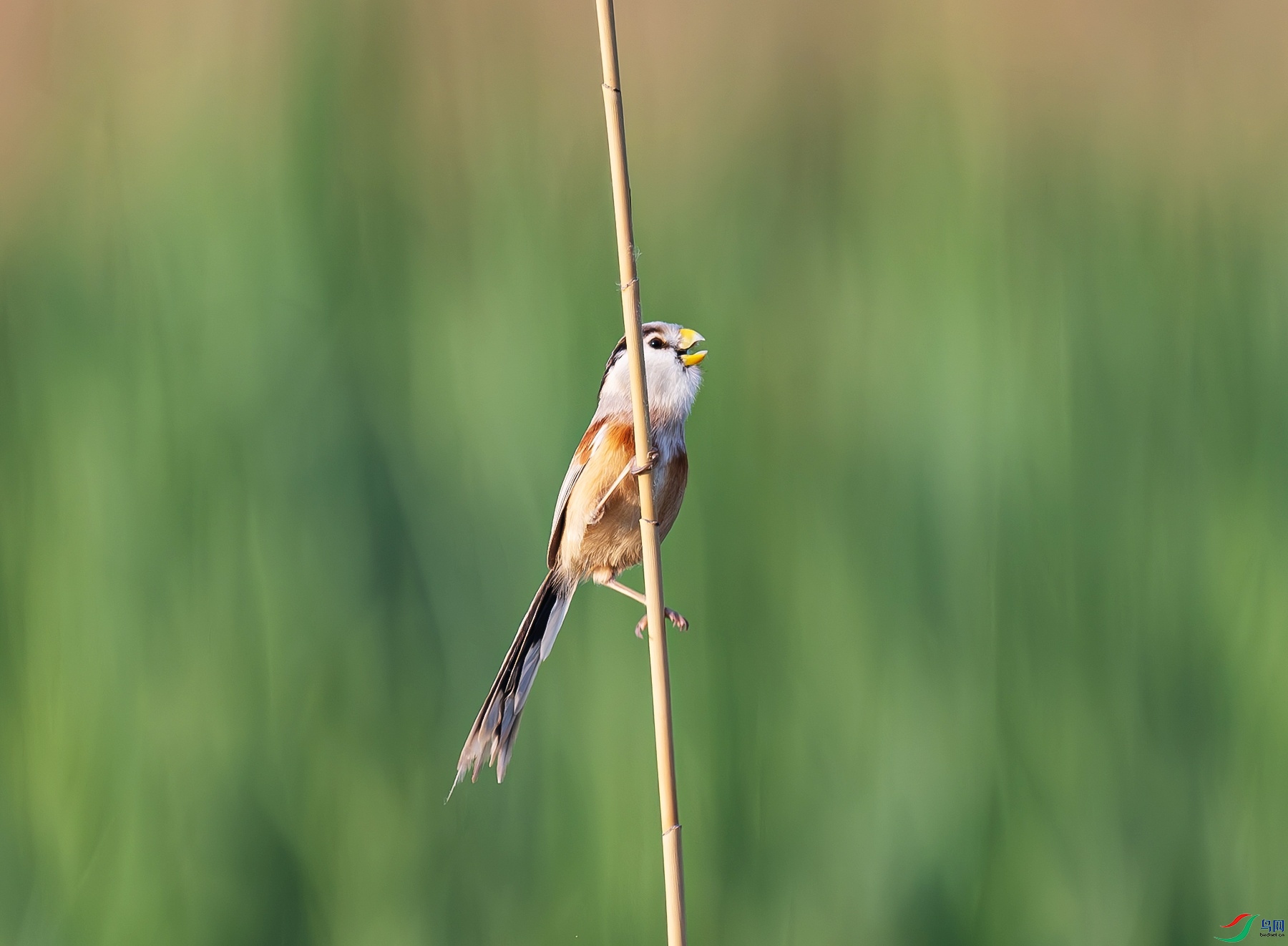 _DSC5766f.jpg