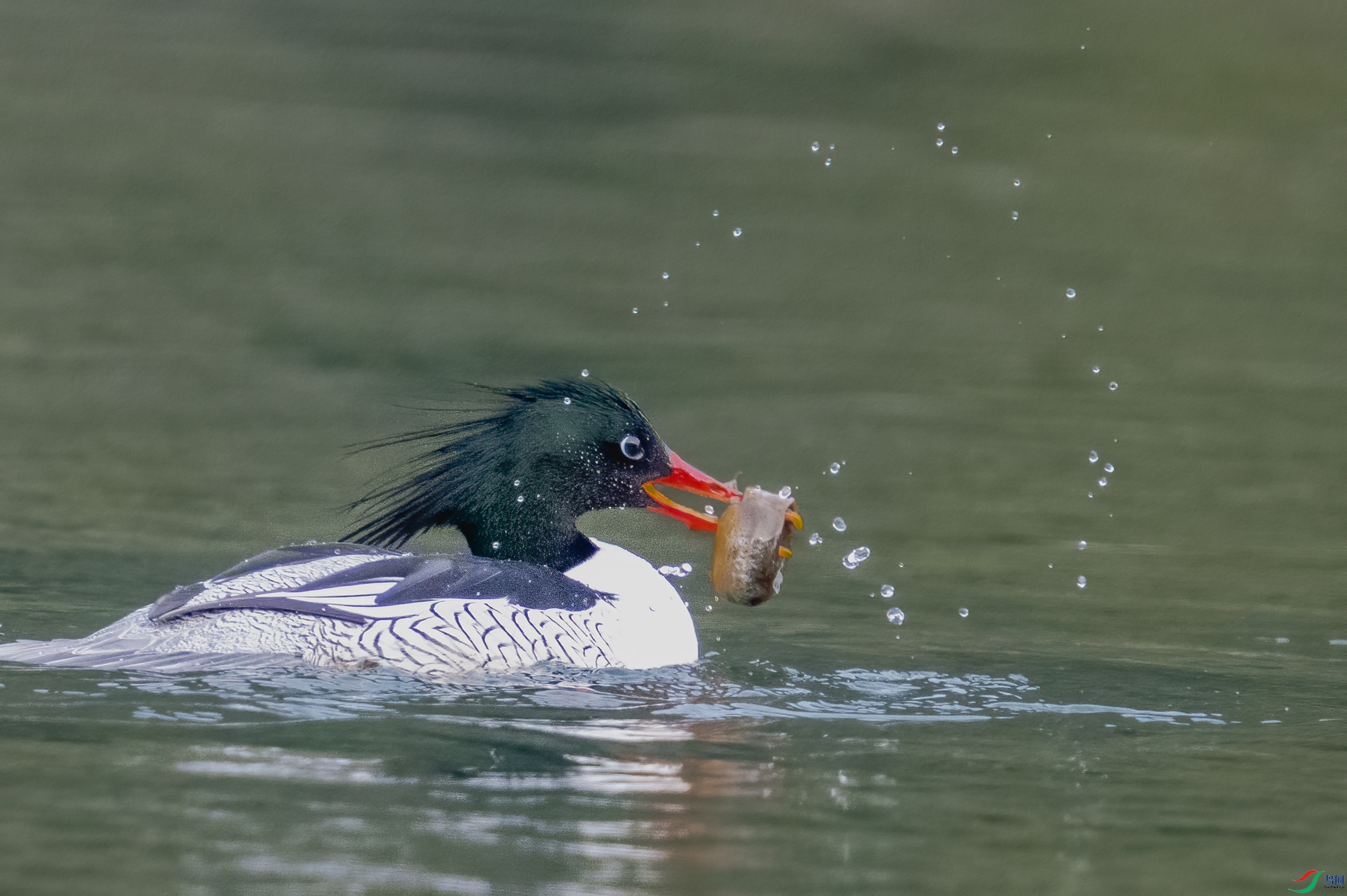 DSC_5012.jpg