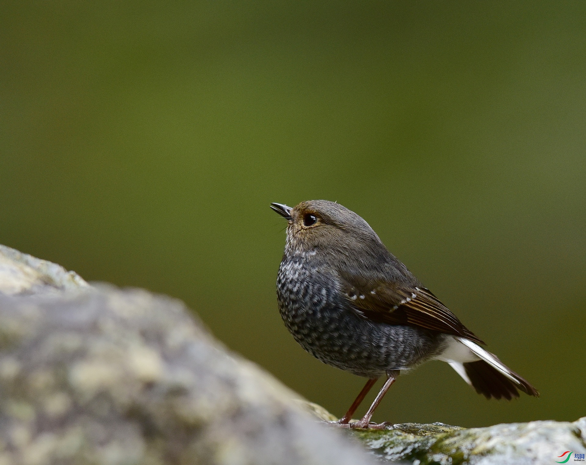 D8I_0577.jpg