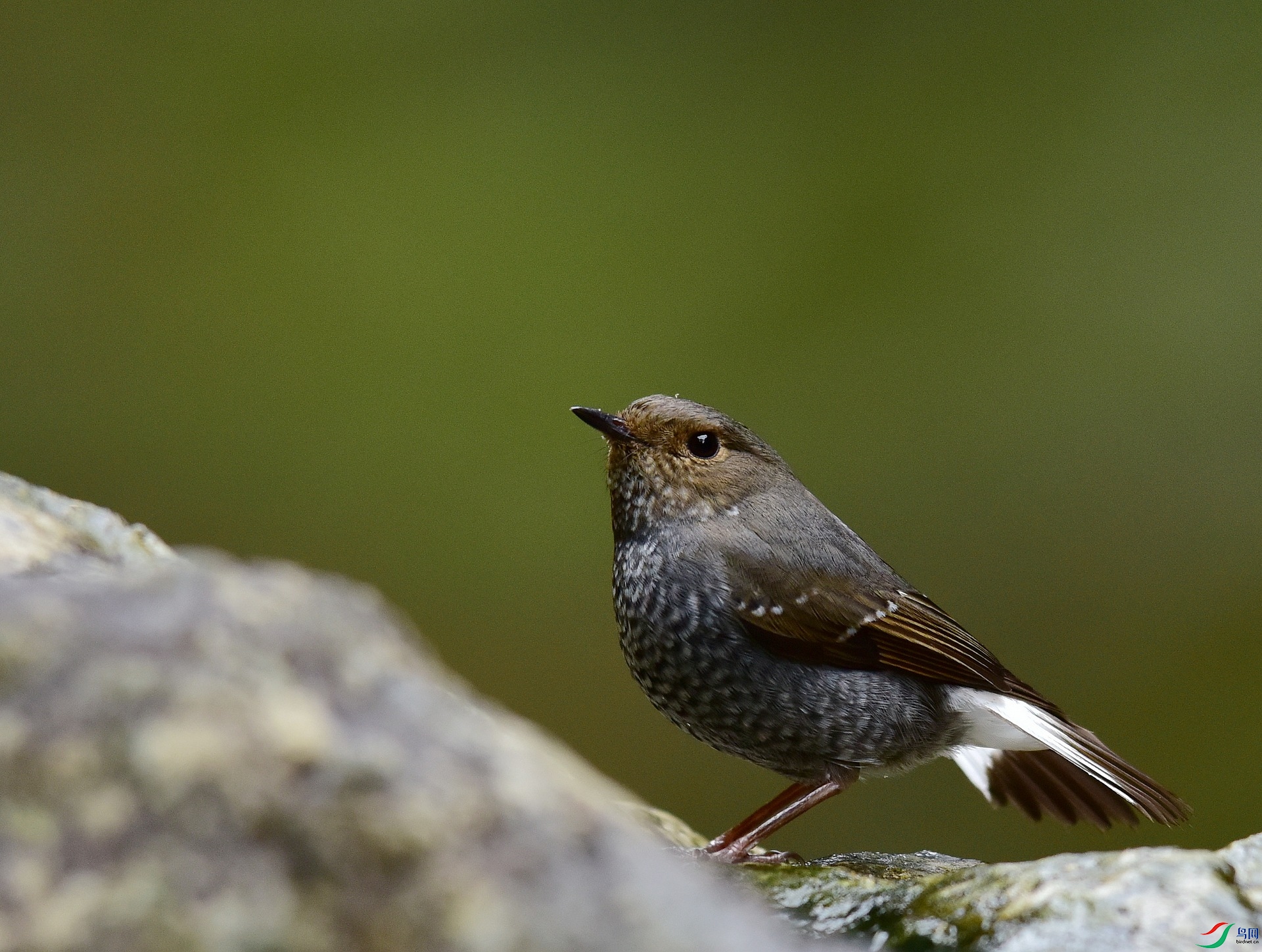 D8I_0579.jpg