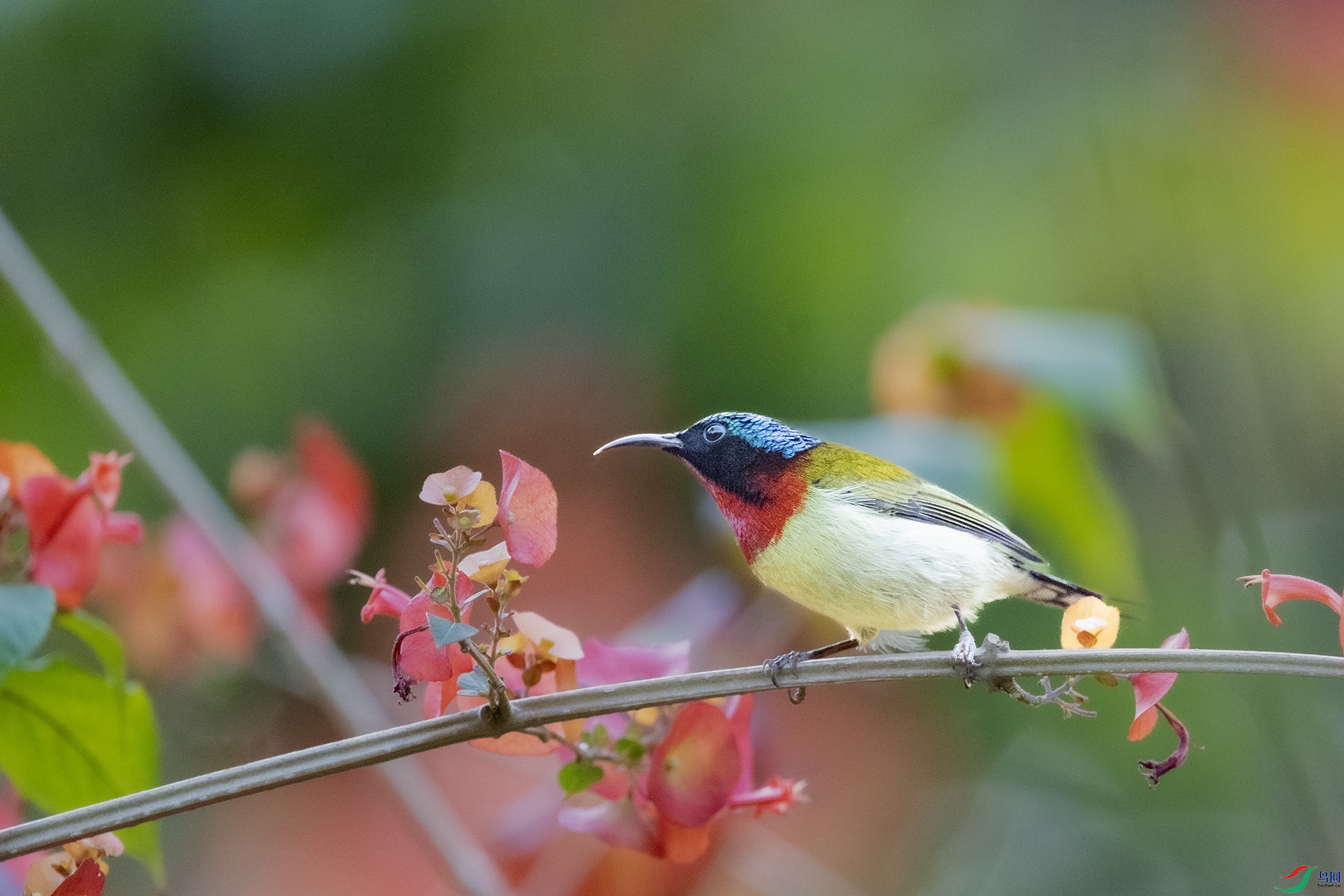 DSC_3047.jpg