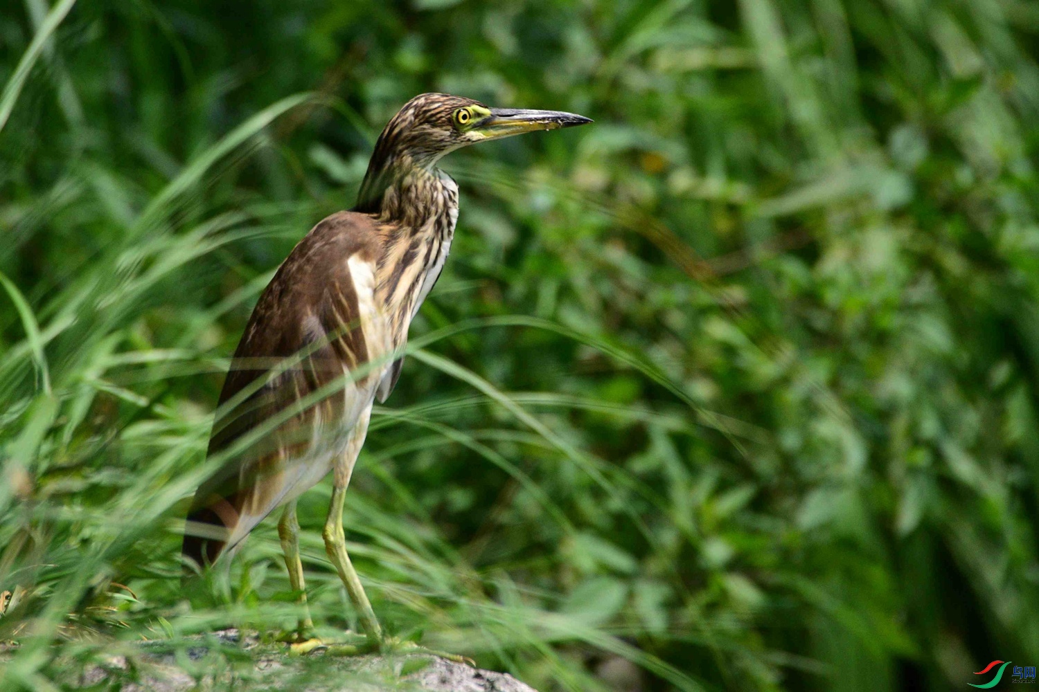 DSC_6104.JPG