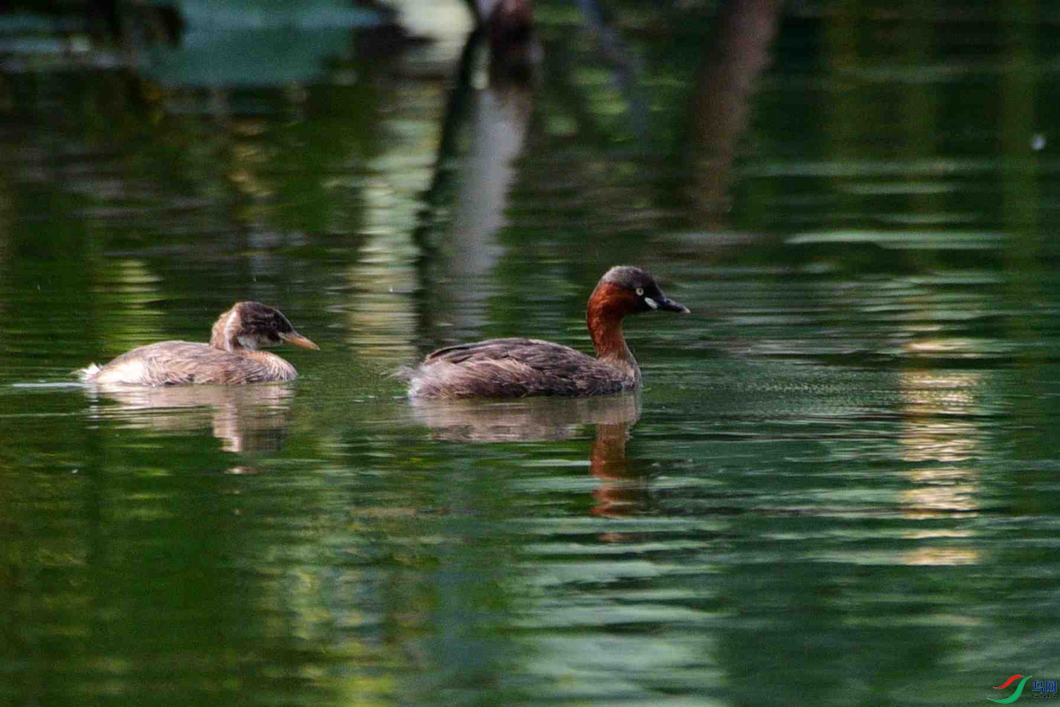 DSC_6180.JPG