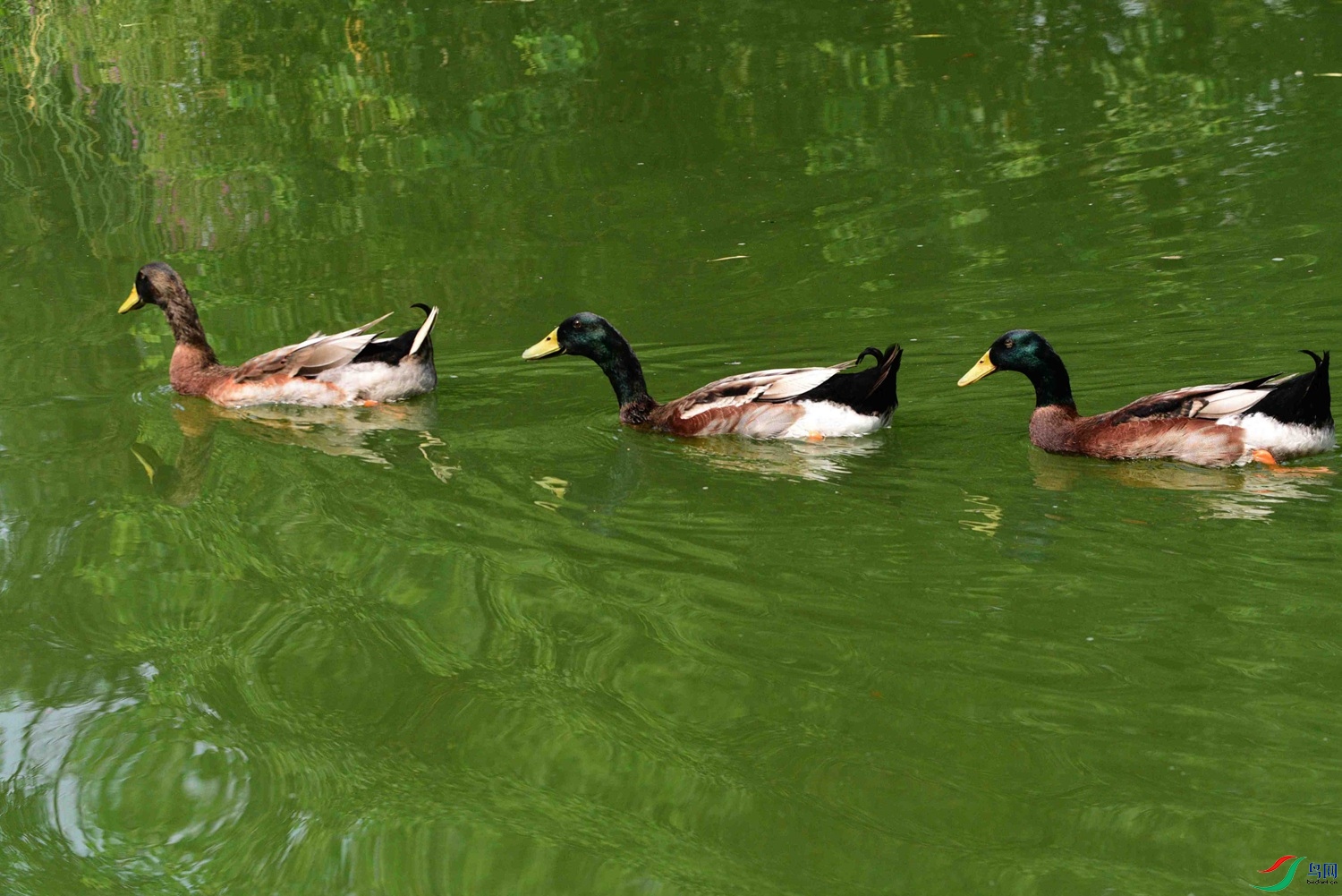 DSC_6214.JPG
