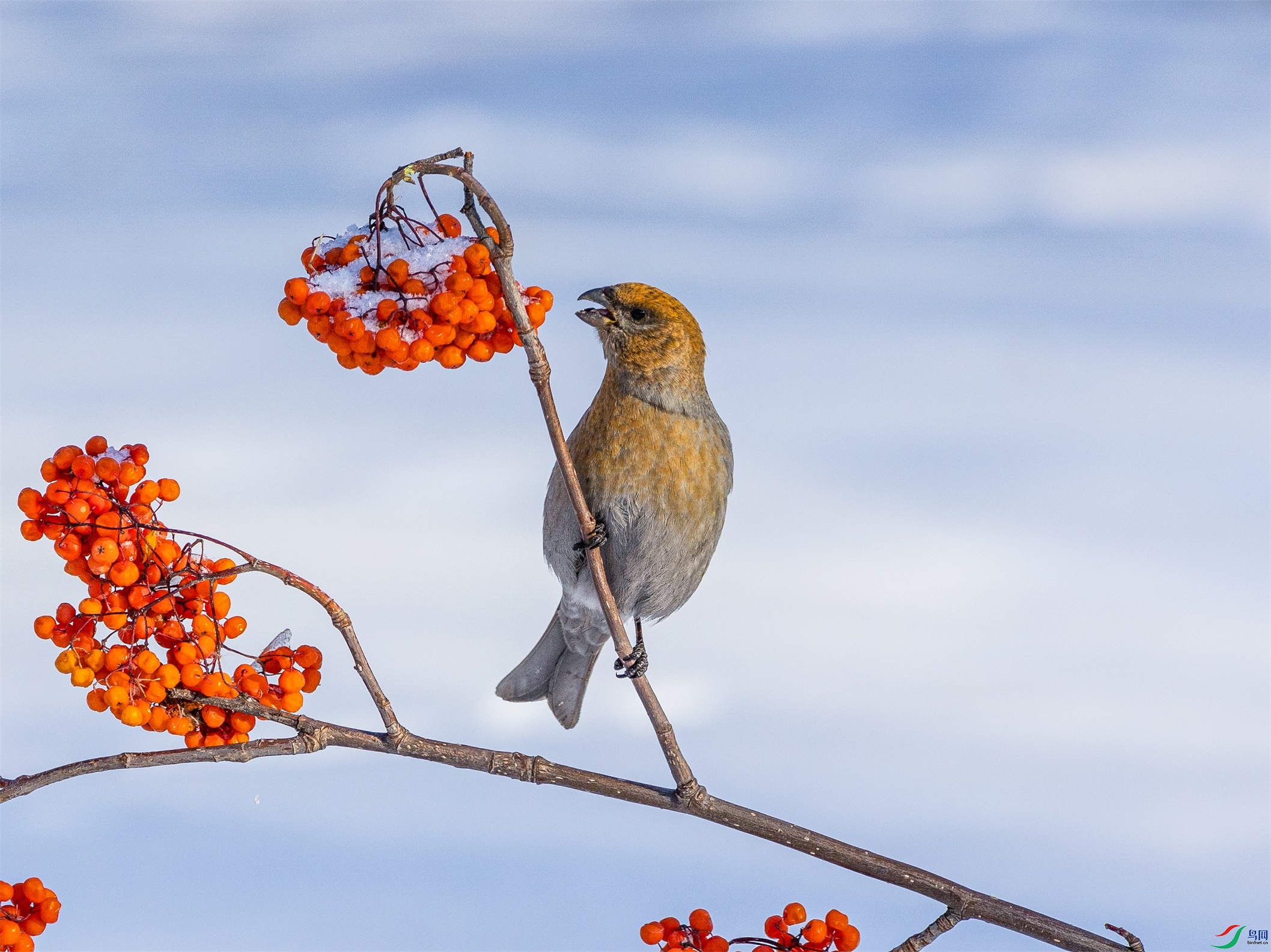 1K3A9937 ����1.jpg