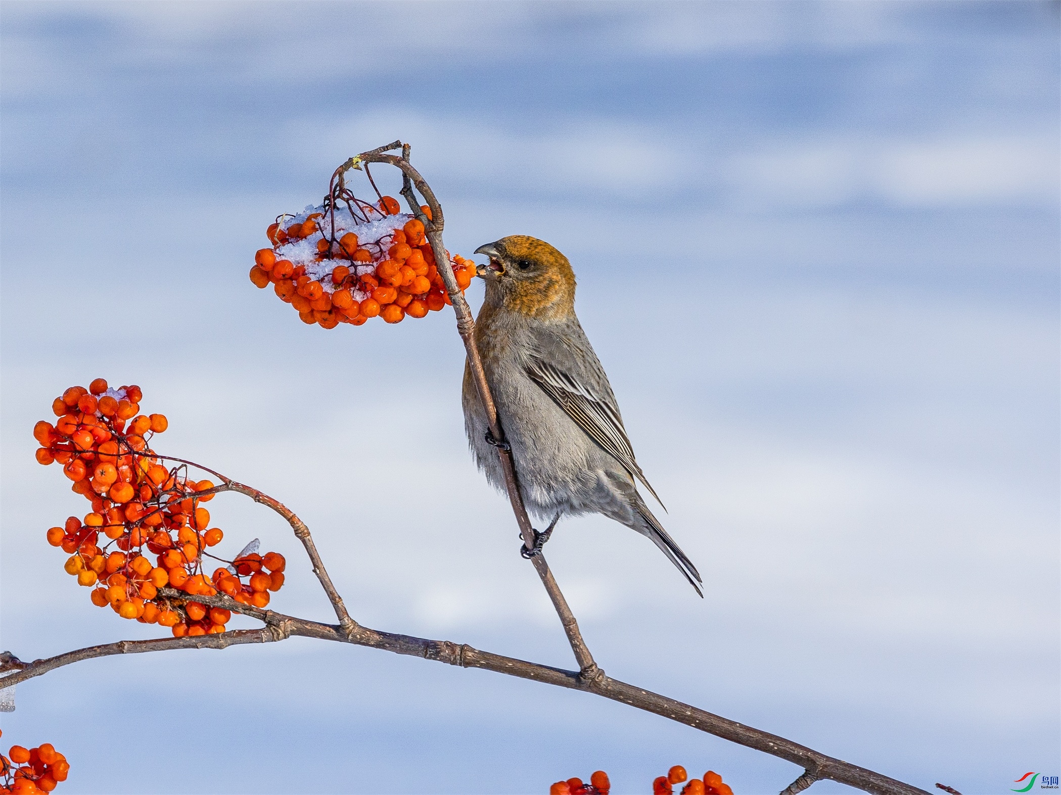 1K3A9958 ����1.jpg