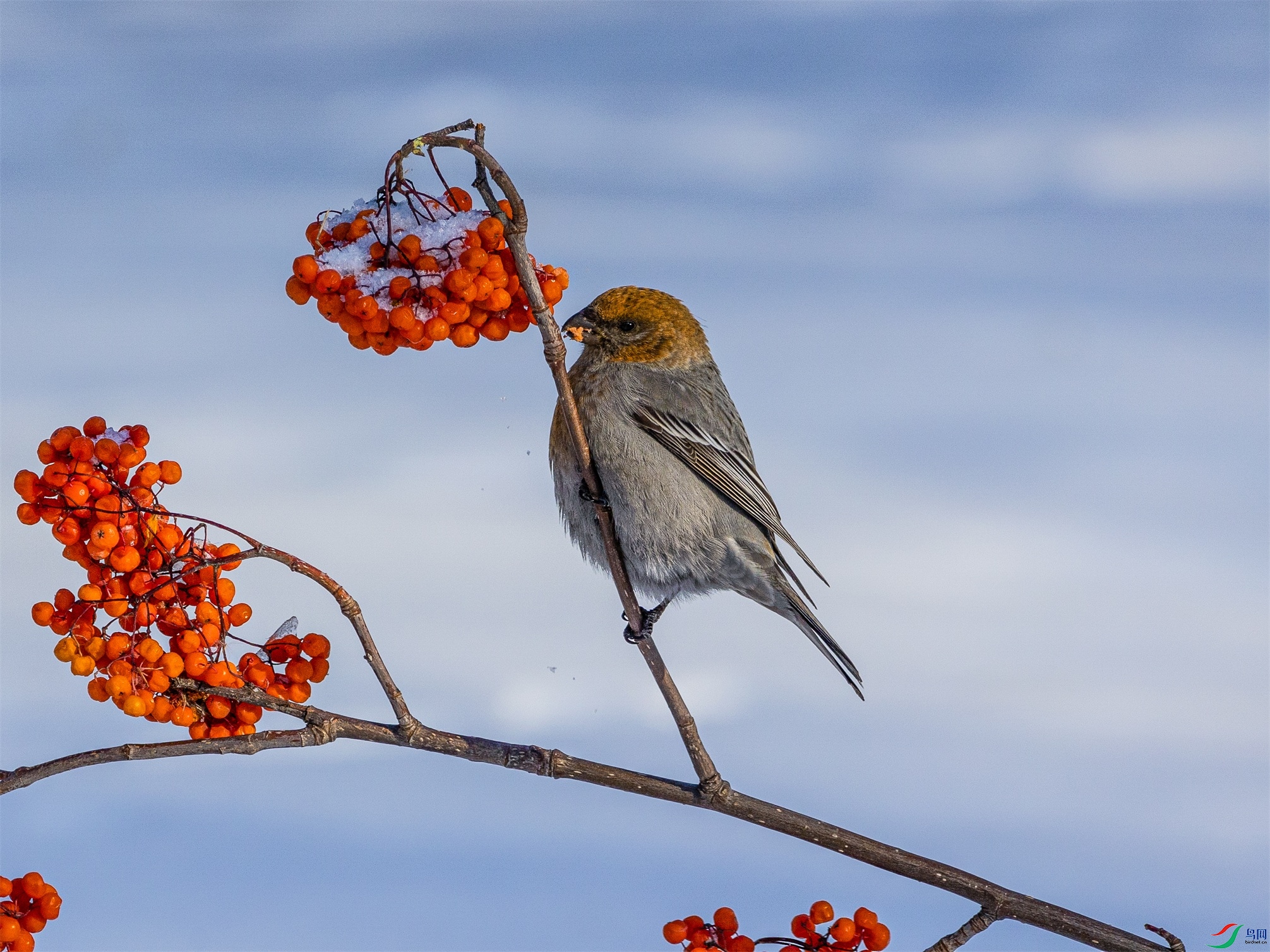 1K3A9959 ����1.jpg