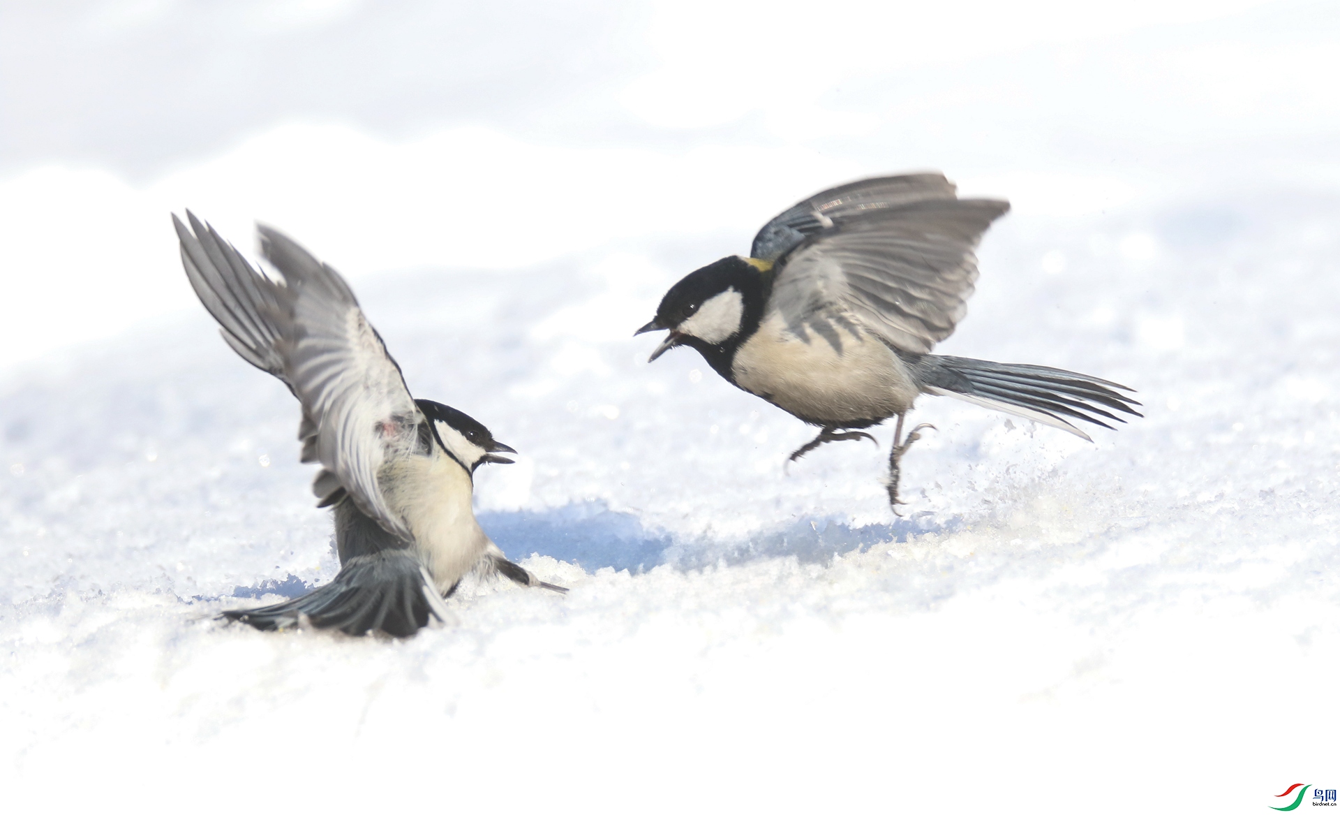 0G1A6571 ����.jpg