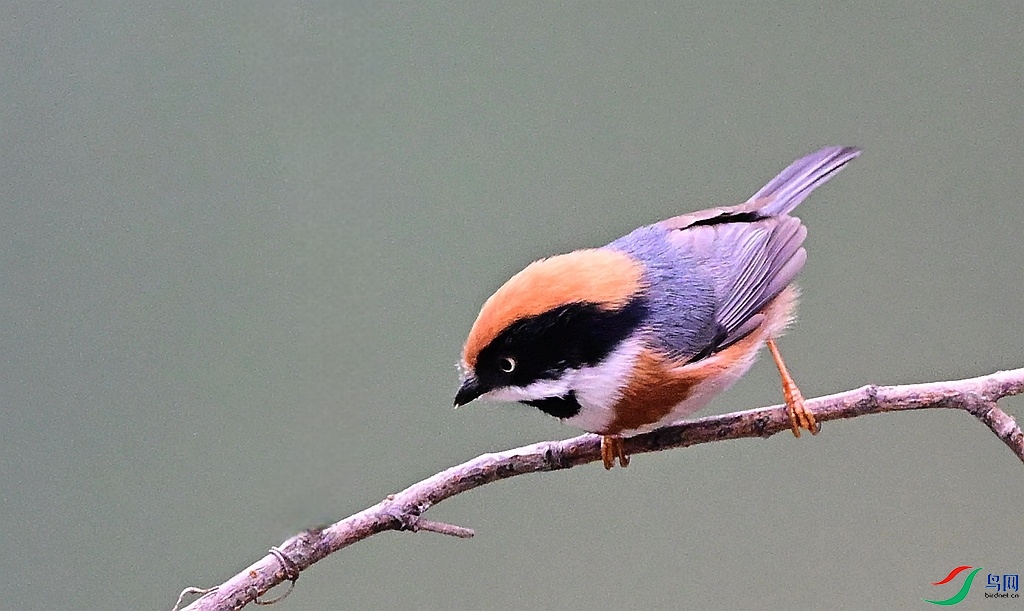 DSC_1348 - ����.JPG