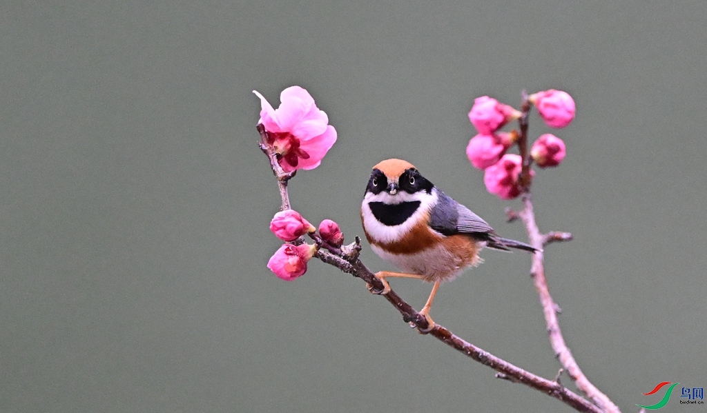 DSC_2384.JPG