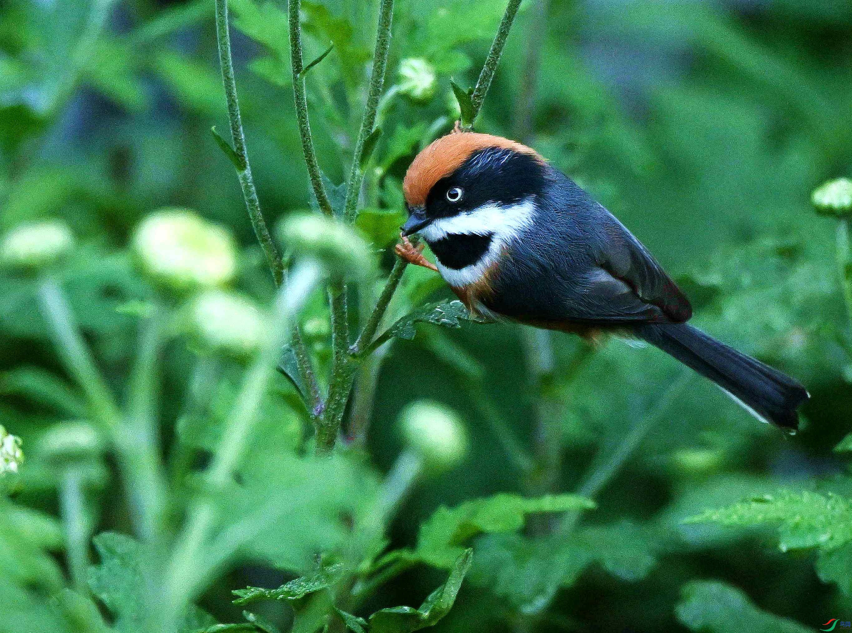 DSC_3465.jpg