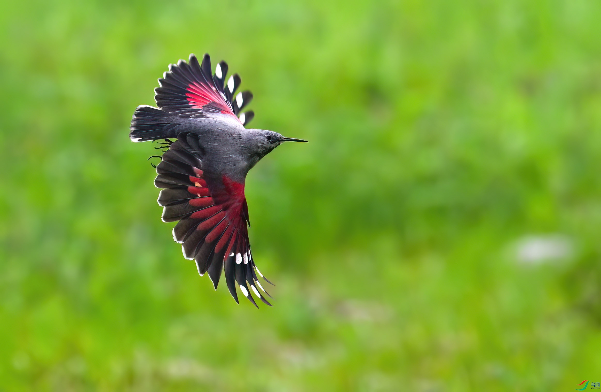 DSC_9844 ����.jpg