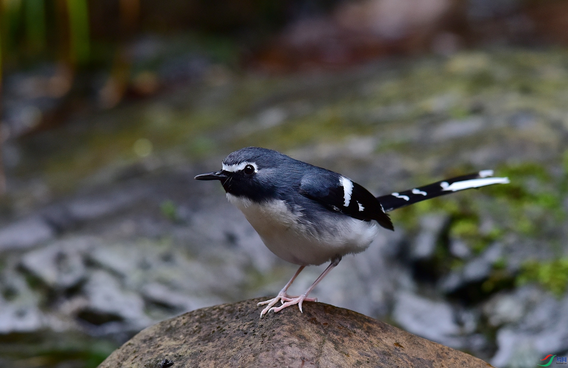 D8I_0749.jpg