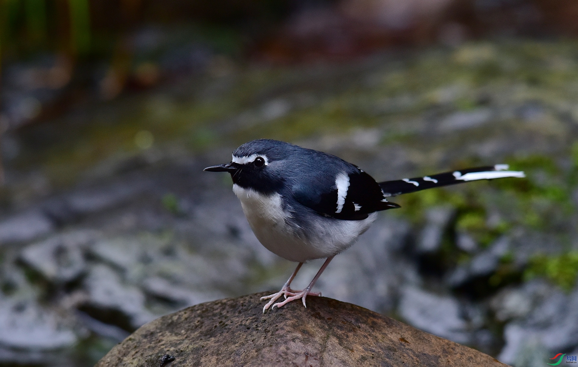 D8I_0748.jpg