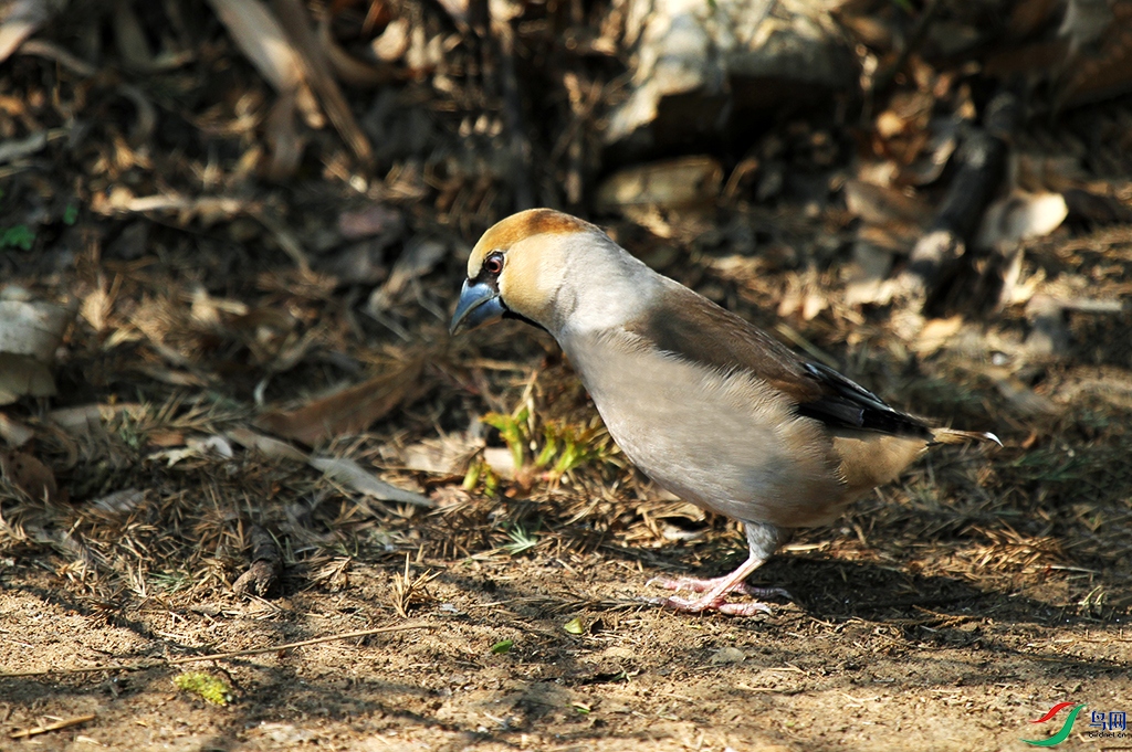 ����-2011������2 ����.jpg