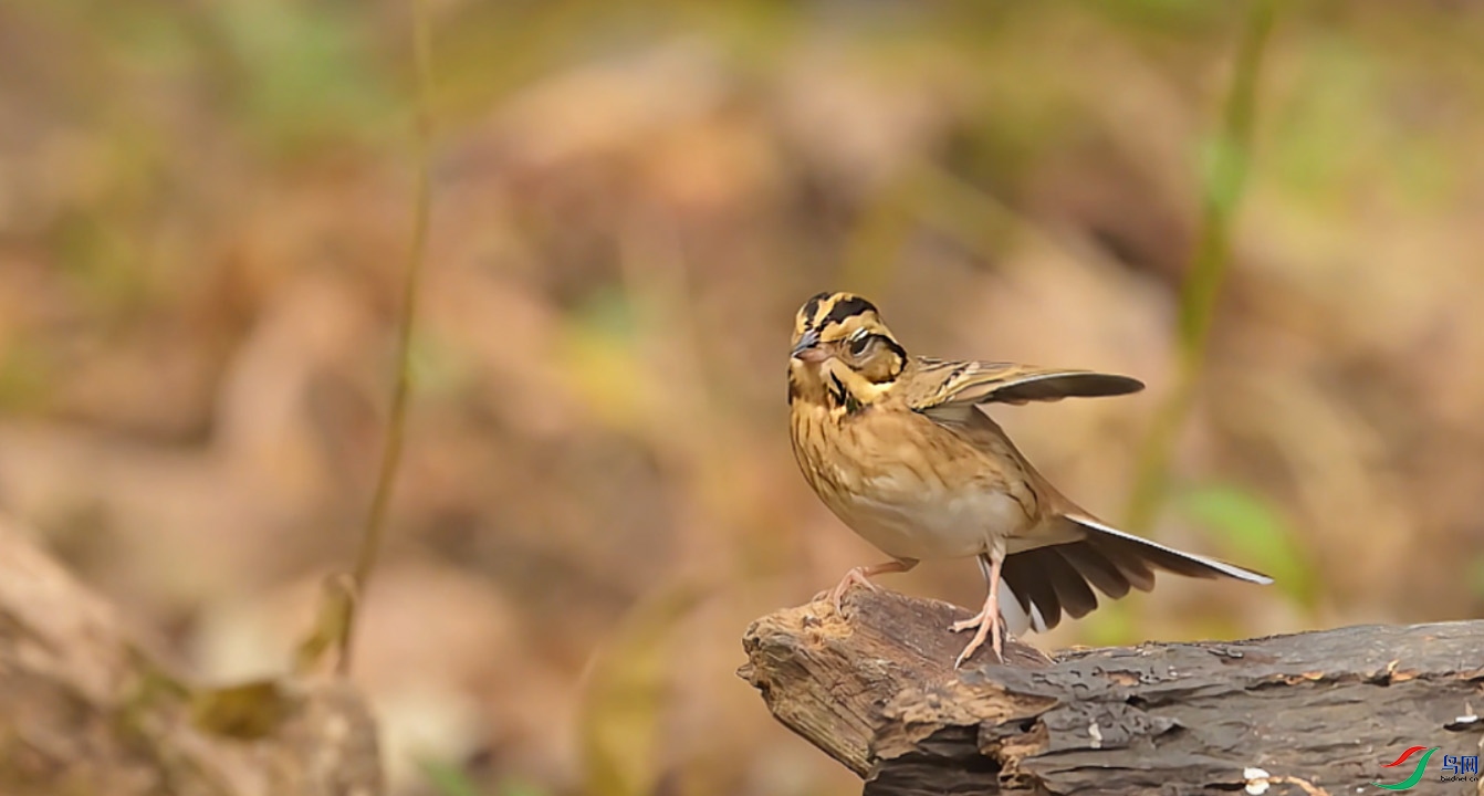 {E65683C3-7D60-4411-8C39-52A230A38EAE} ����.jpg