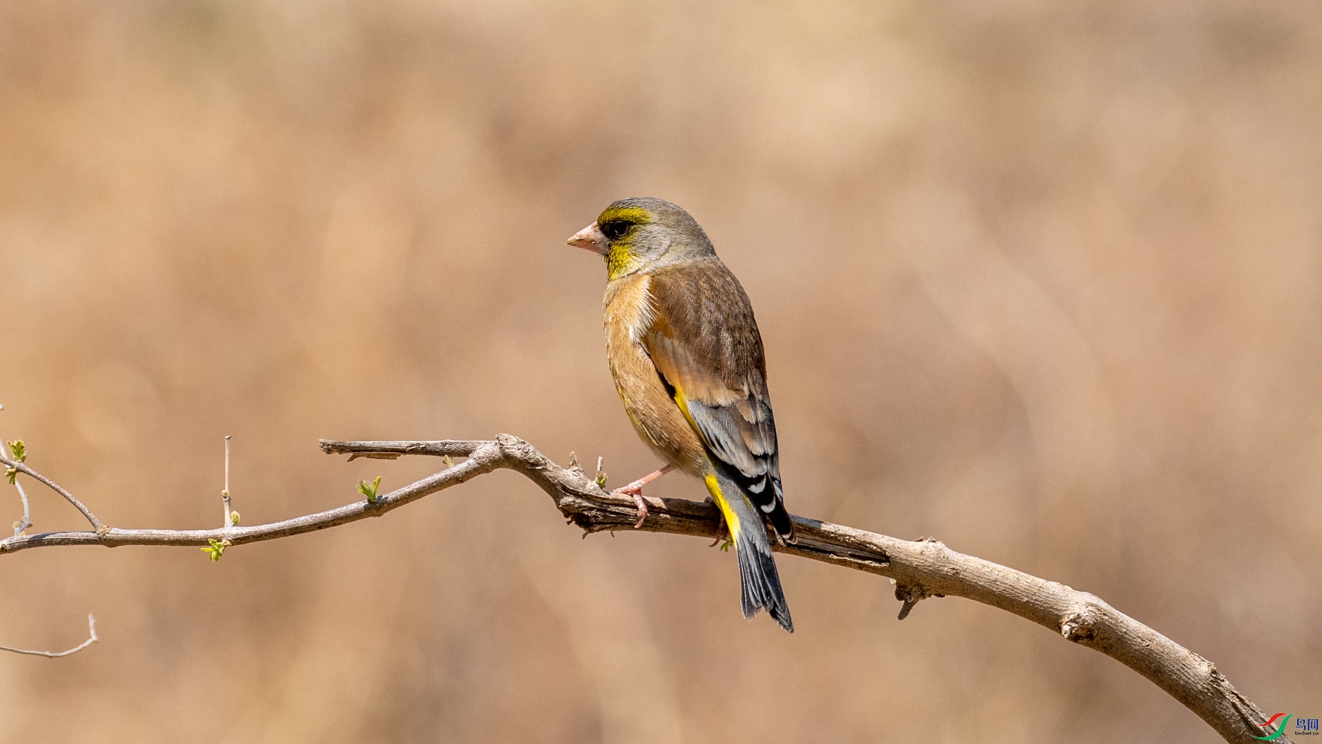 DSC_8275.jpg