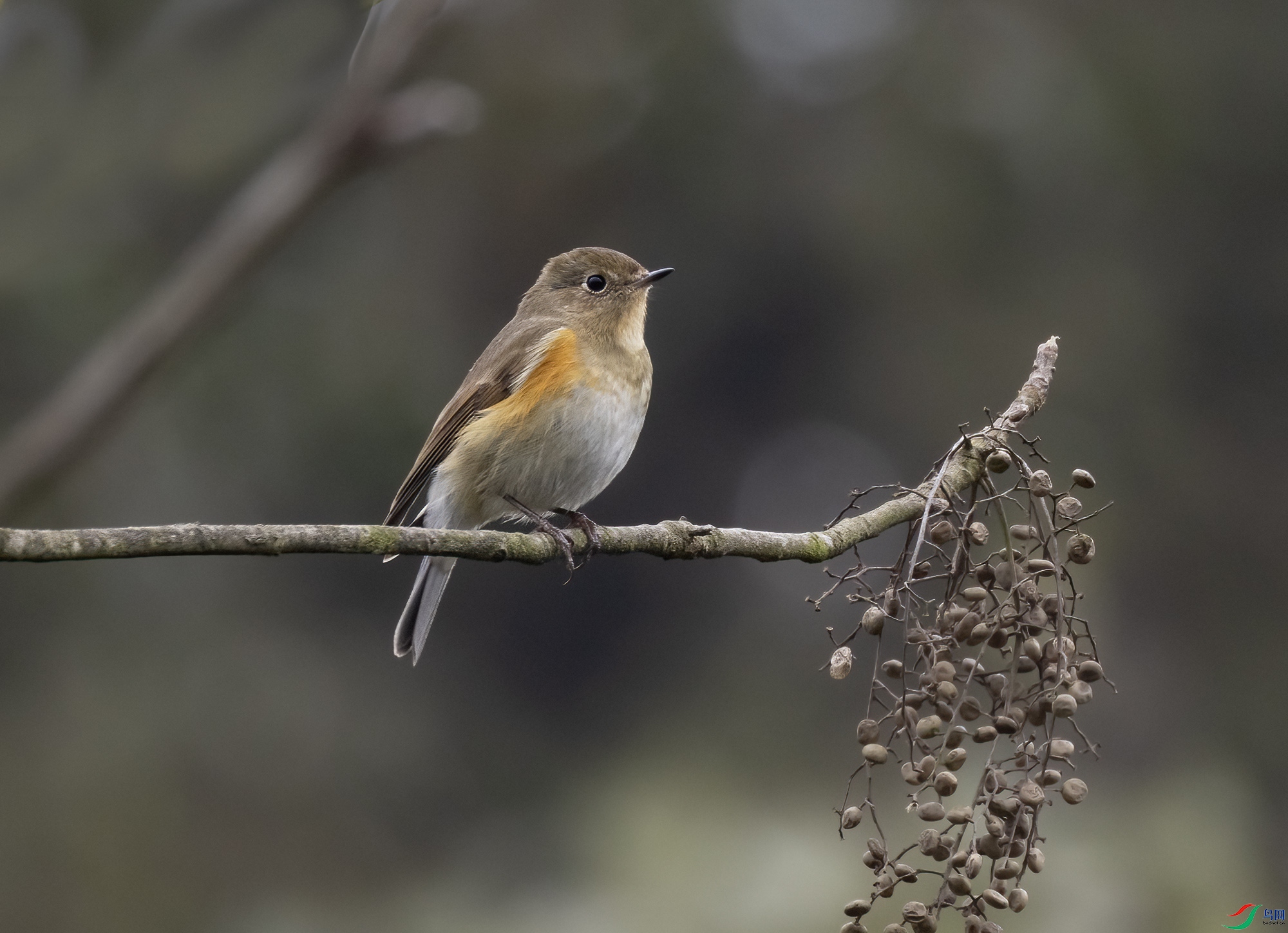 2I1A7710 ����.jpg