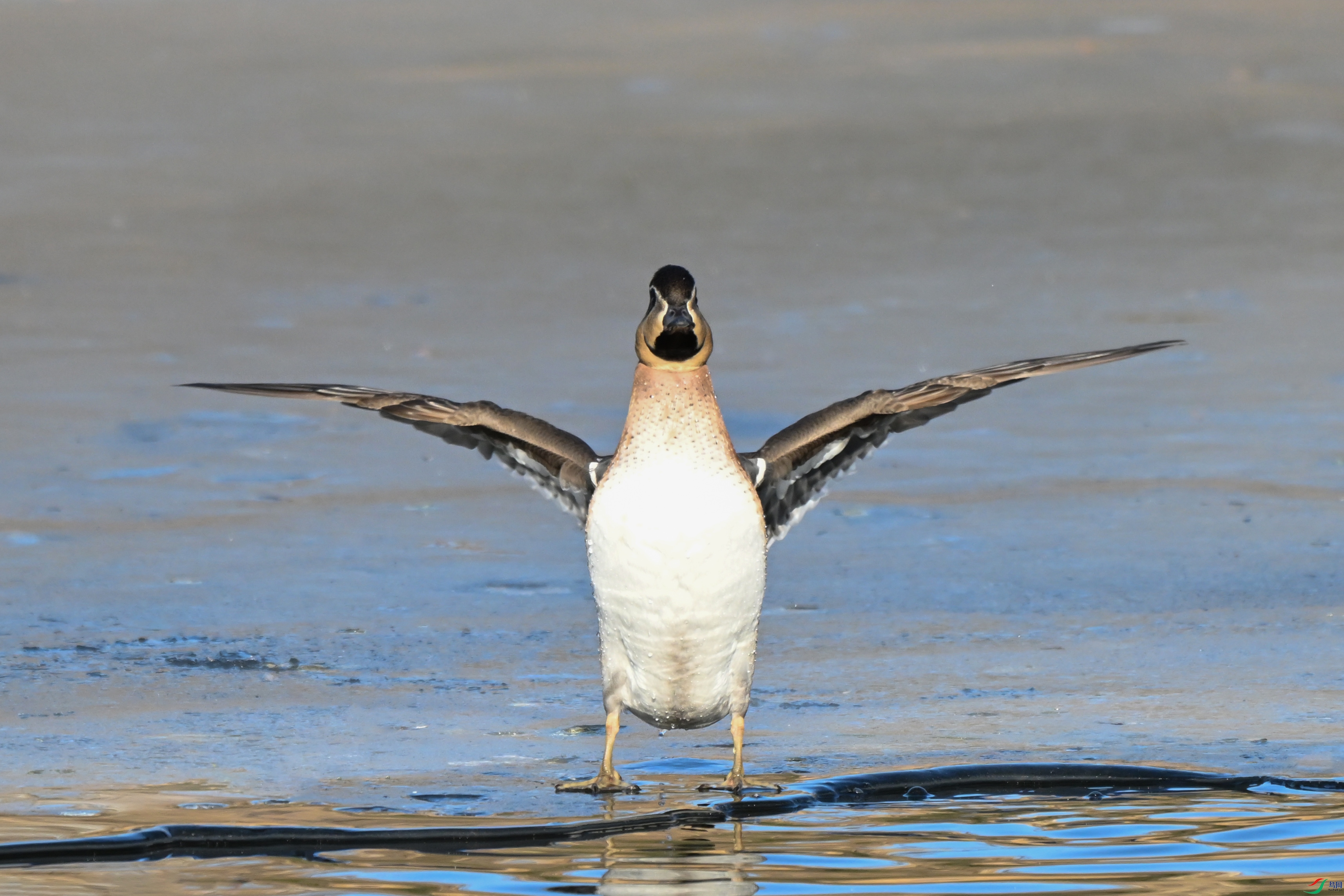 DSC_7673.JPG