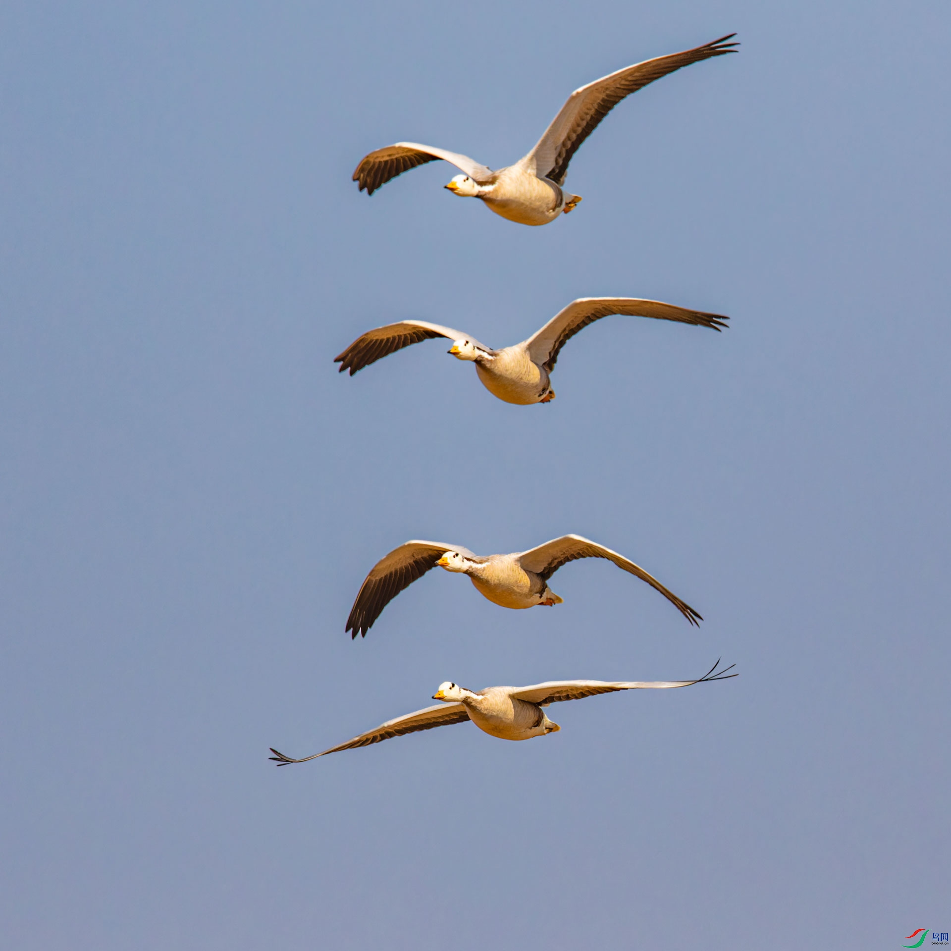 _00A2756-CR2_DxO_DeepPRIMEXD-2-1.jpg