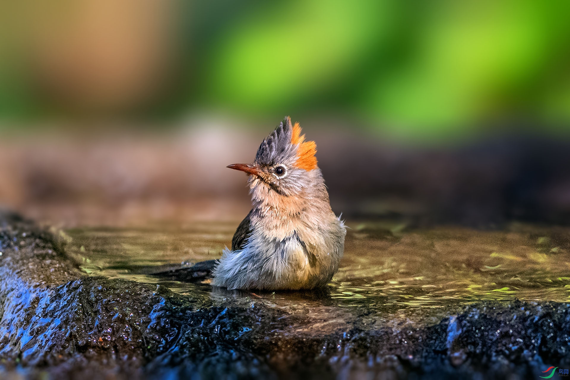 _AUU4500���η���(24.2.17).jpg