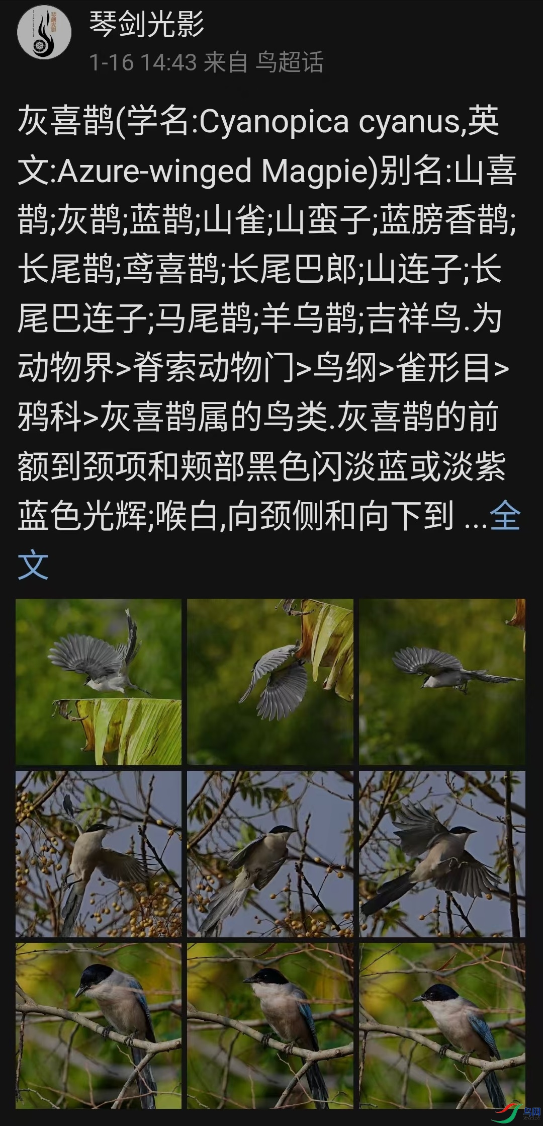 ΢��ͼƬ_20250305121619.jpg